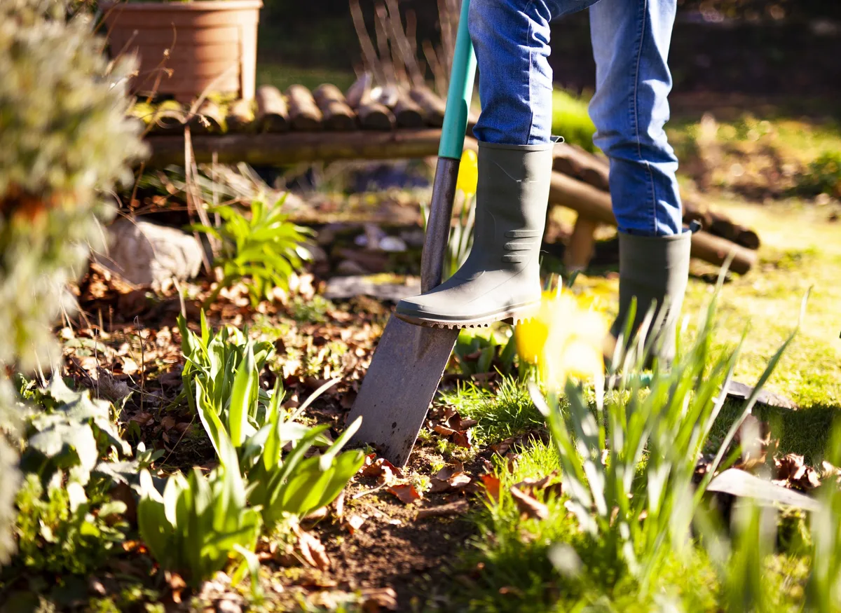 Gardening with a spade Gardening with a spade