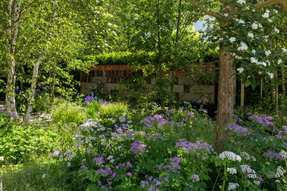 Forest Bathing Garden designed by Ula Maria Forest Bathing Garden designed by Ula Maria