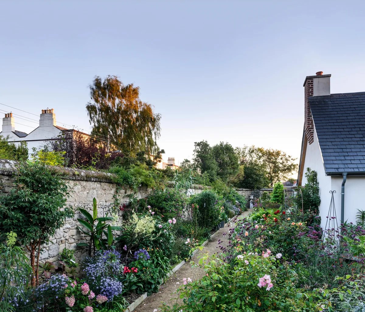 Helen Dillon's Garden - Ireland (9th September 2020) A long, gravel path follows the line of an old granite wall and a campana urn provides a focal point and full stop. The planting is a rich mixture of bedding, perennials and shrubs. Trees ‘borrowed’ from neighbouring gardens frame the space and link it with the landscape.