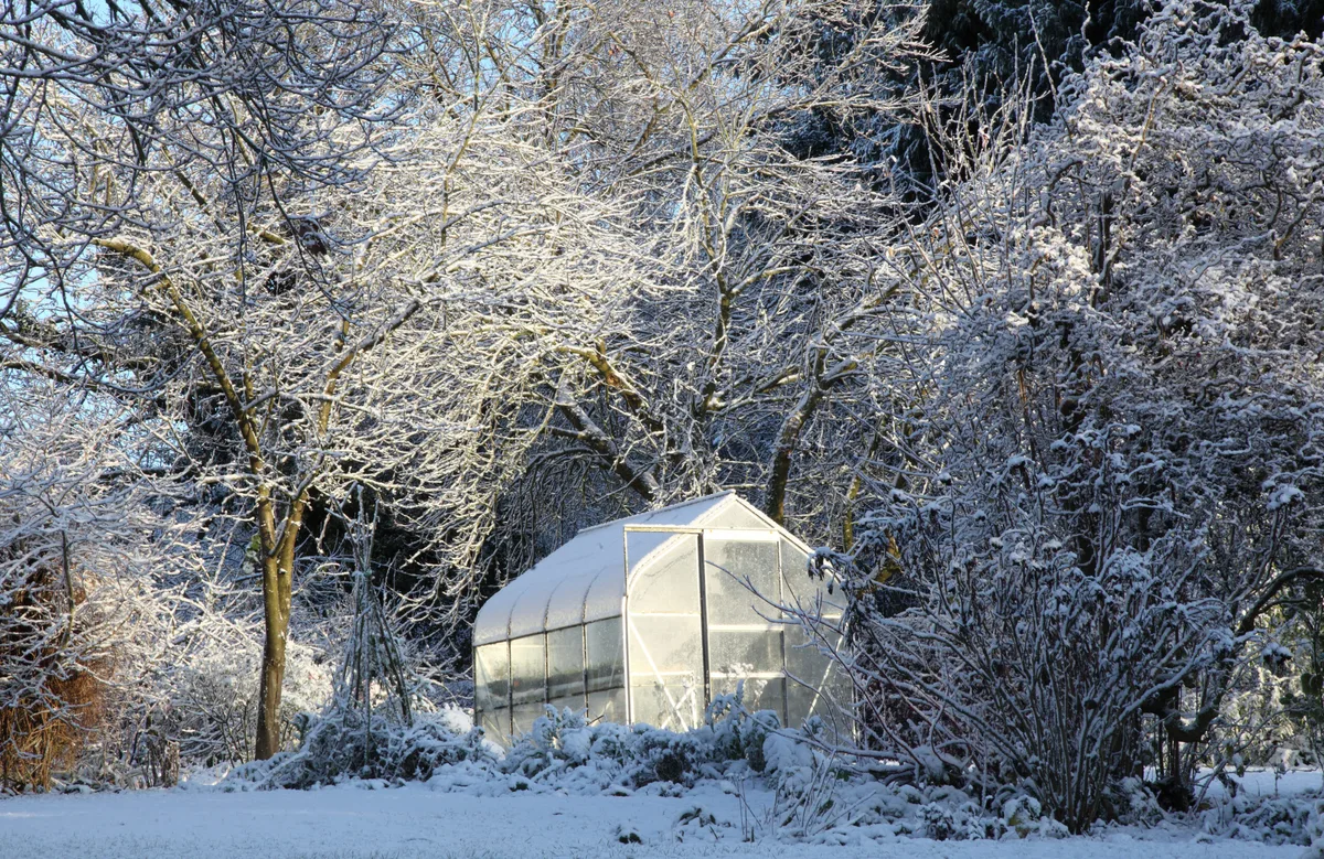 Greenhouse in the snow Greenhouse in the snow