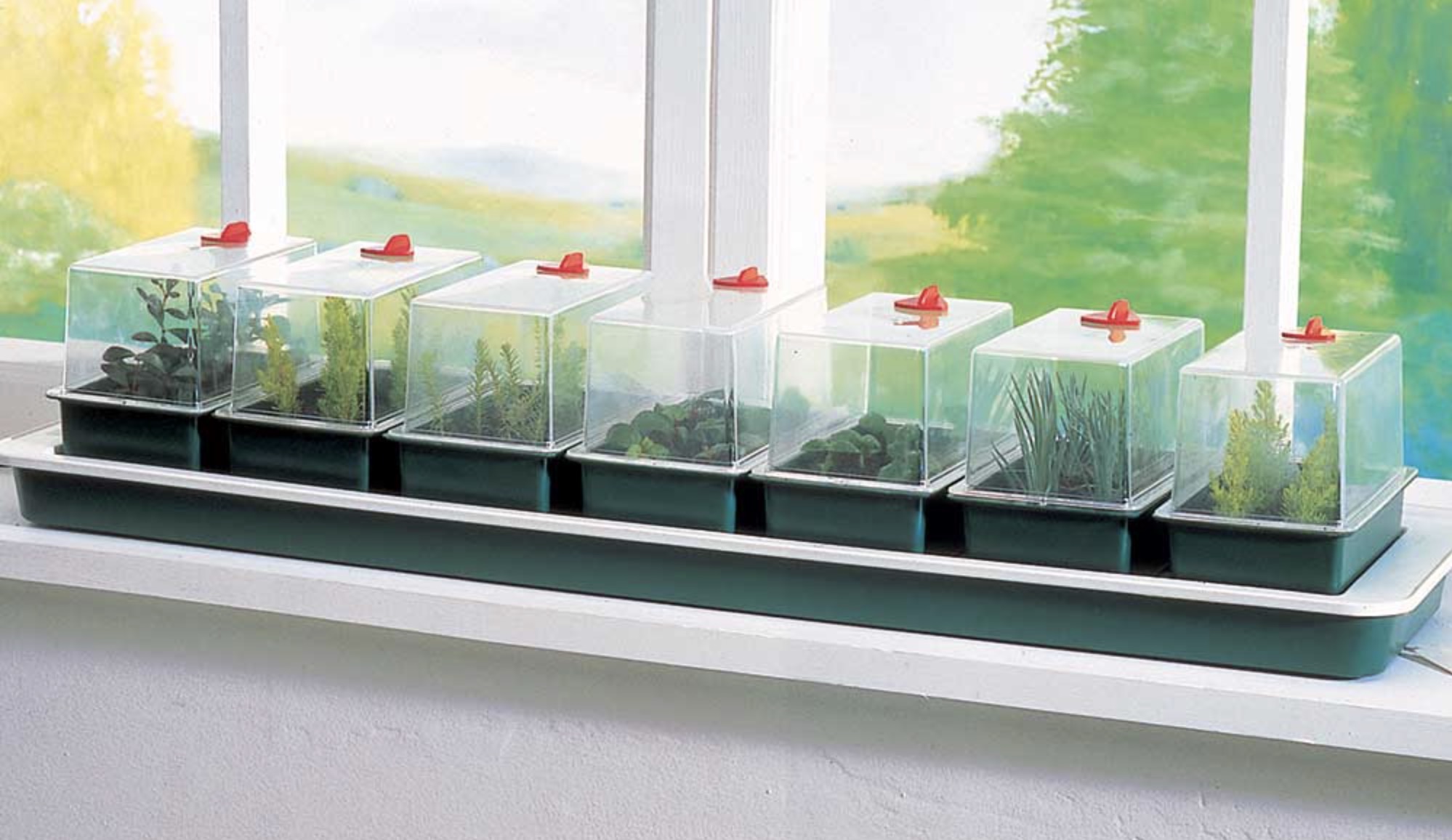 heated propagator