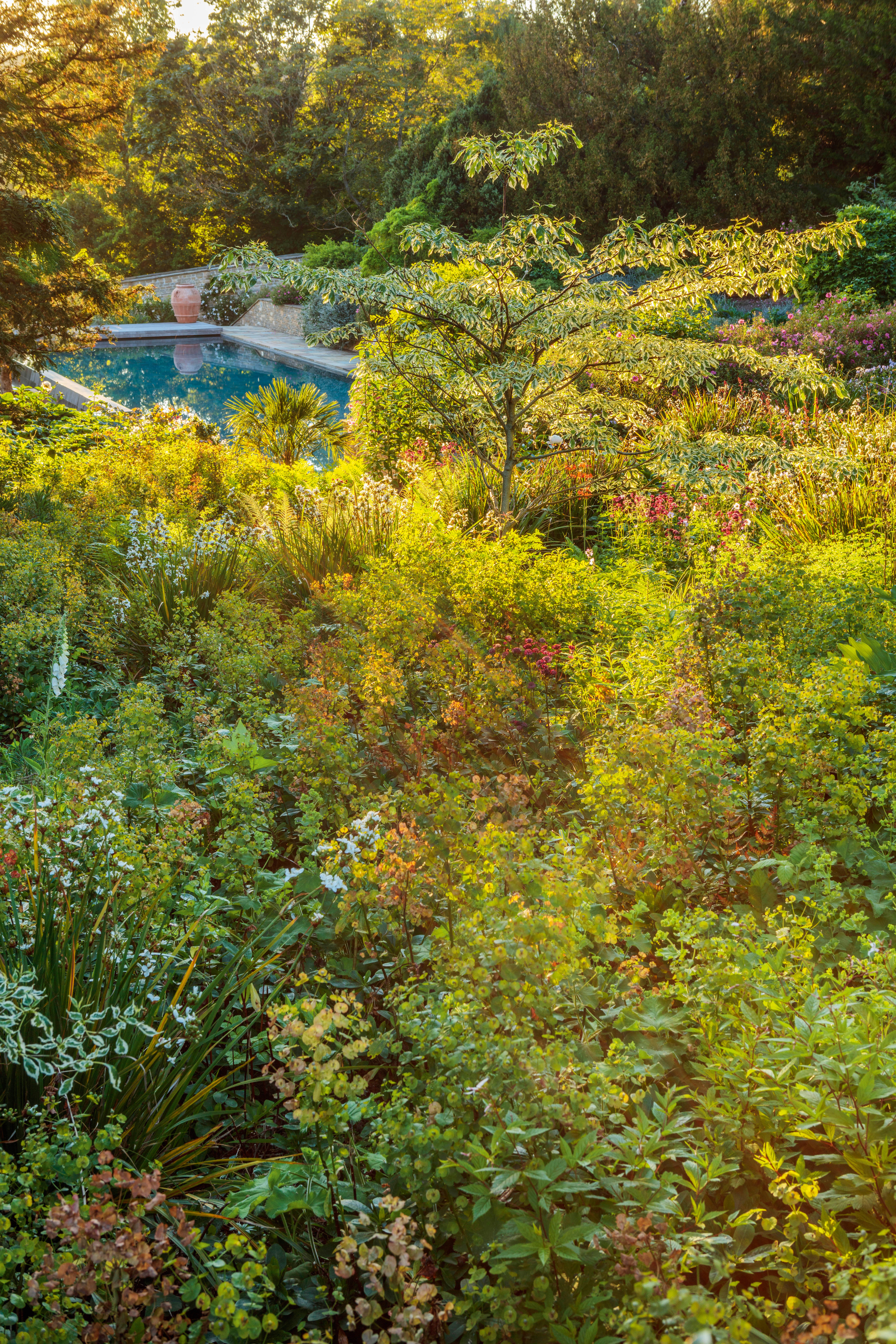 The swimming pool at Dowdeswell Court gardens