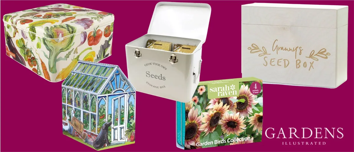 Seed tins A selection of seed tins on a pink background