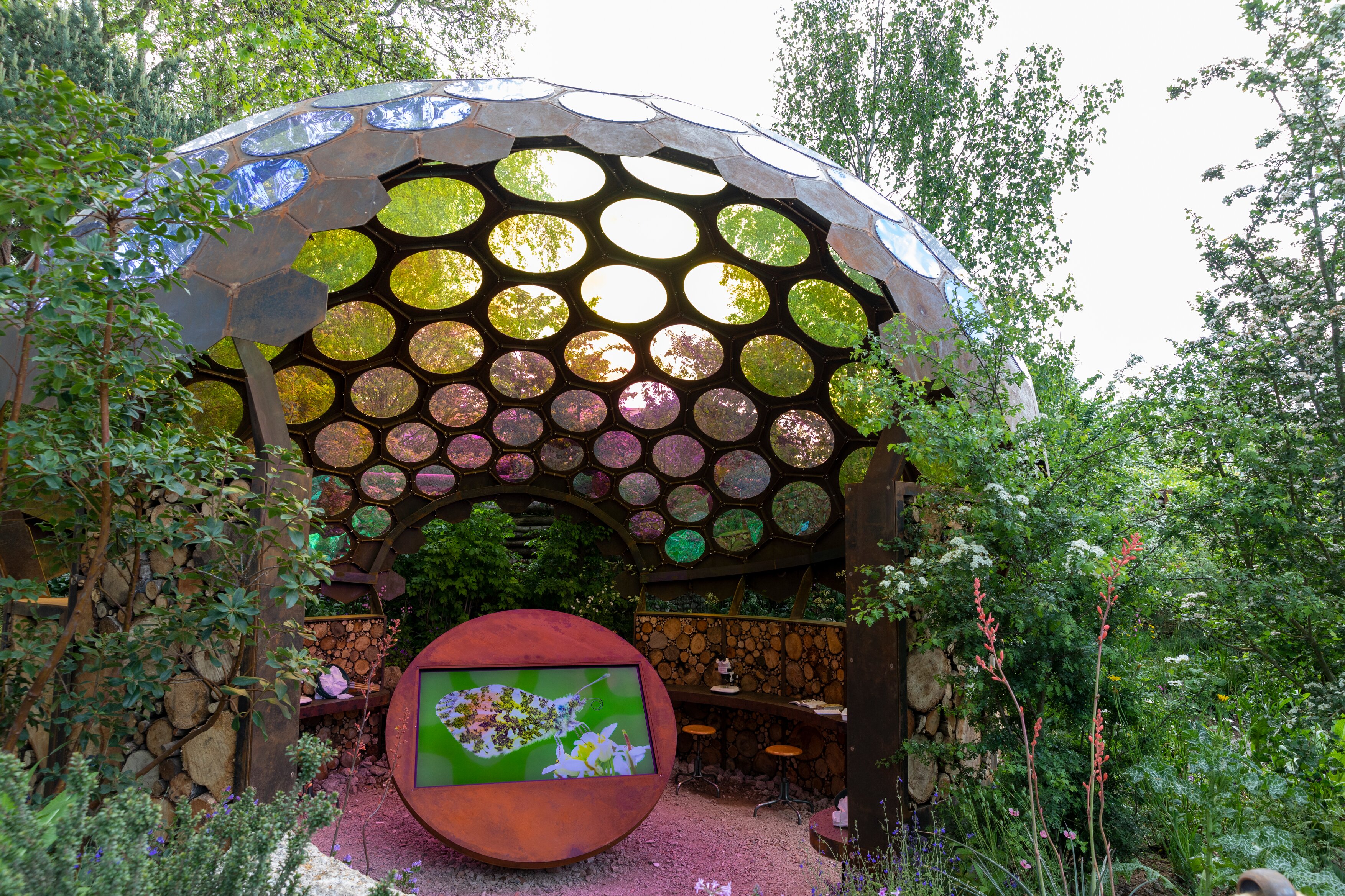 Chelsea Flower Show Garden 2023: The Royal Entomological Society Garden. Designed by Tom Massey. Sponsored by Royal Entomological Society and Project Giving Back.