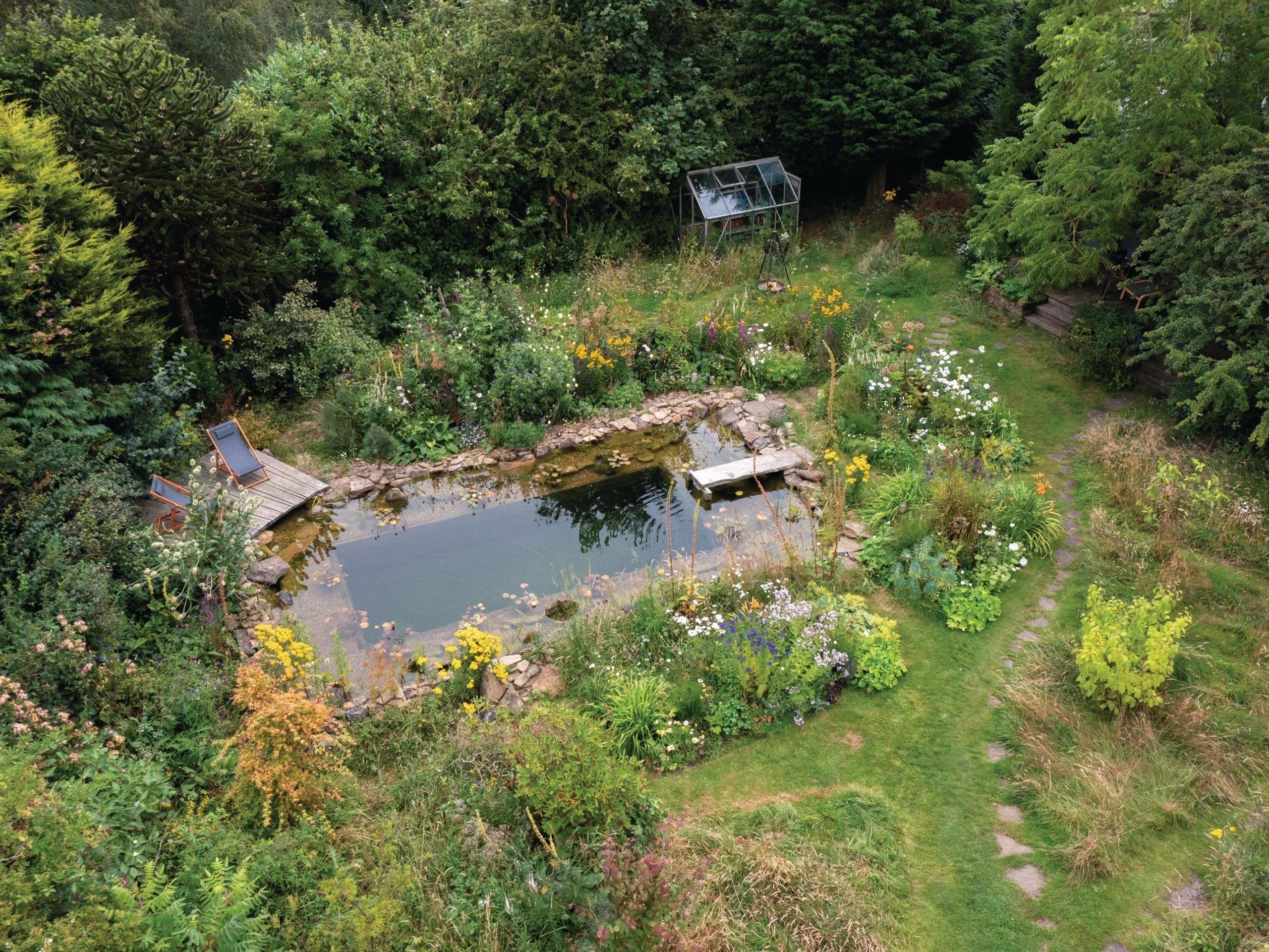 Garden swimming pond designed by Will Tomson