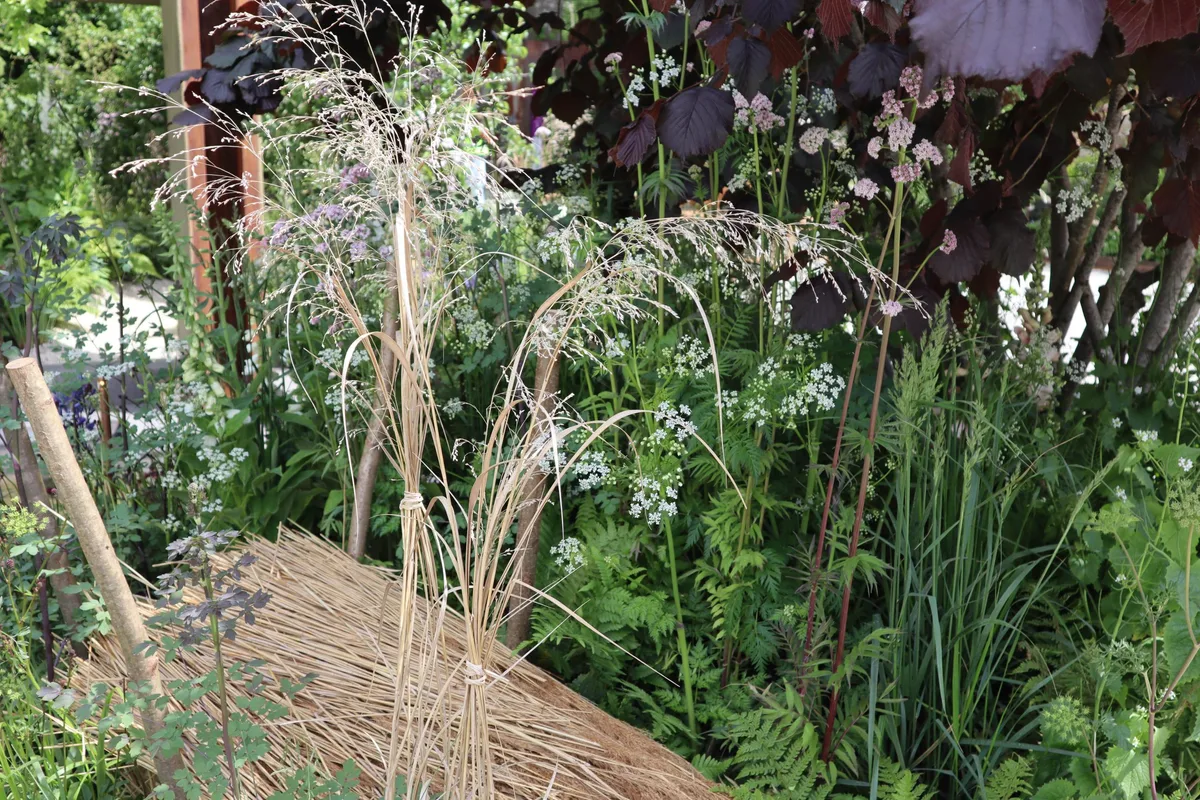 Bundle of grasses and tied grasses in the Killik & Co garden Bundle of grasses and tied grasses in the Killik & Co garden