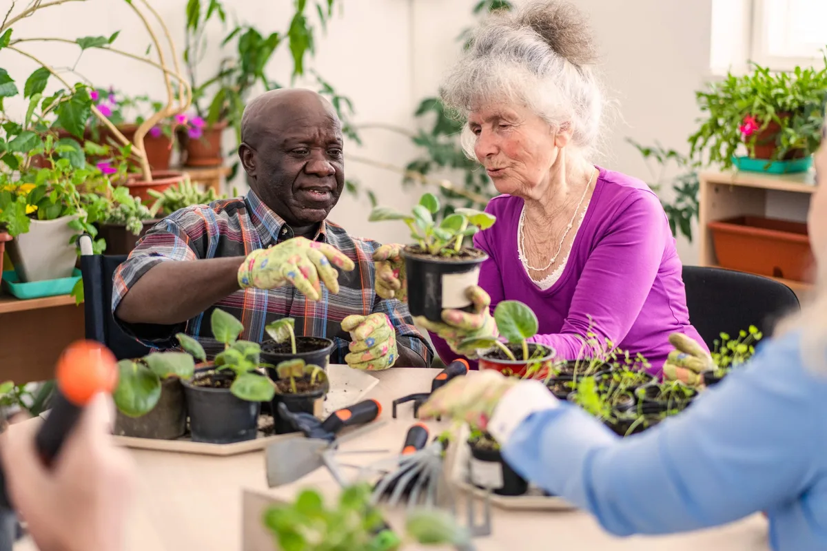 An older black man and white, grey haired woman sit at a table of seedling pots, wearing gardening gloves and appearing to be potting up plants An older black man and white, grey haired woman sit at a table of seedling pots, wearing gardening gloves and appearing to be potting up plants