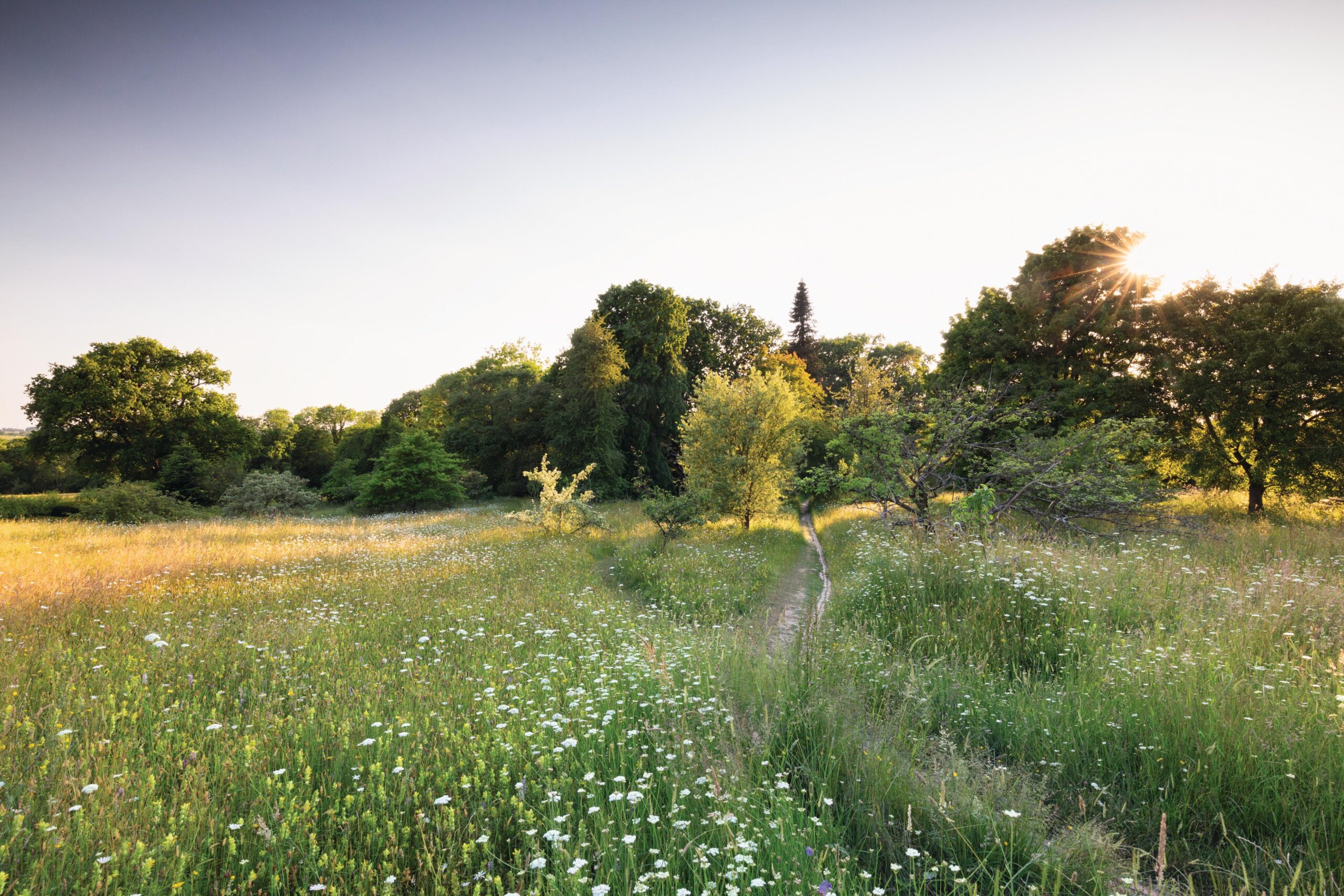 Great Dixter © Richard Bloom