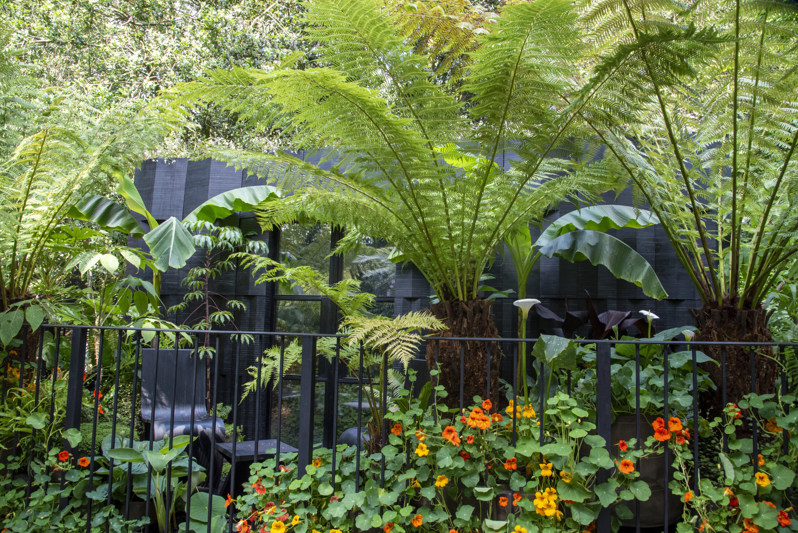 The Addleshaw Goddard Junglette Garden at RSH Chelsea Flower Show. Designed by Mike McMahon and Jewlsy Mathews. Sponsored by Addleshaw Goddard. Balcony Garden.