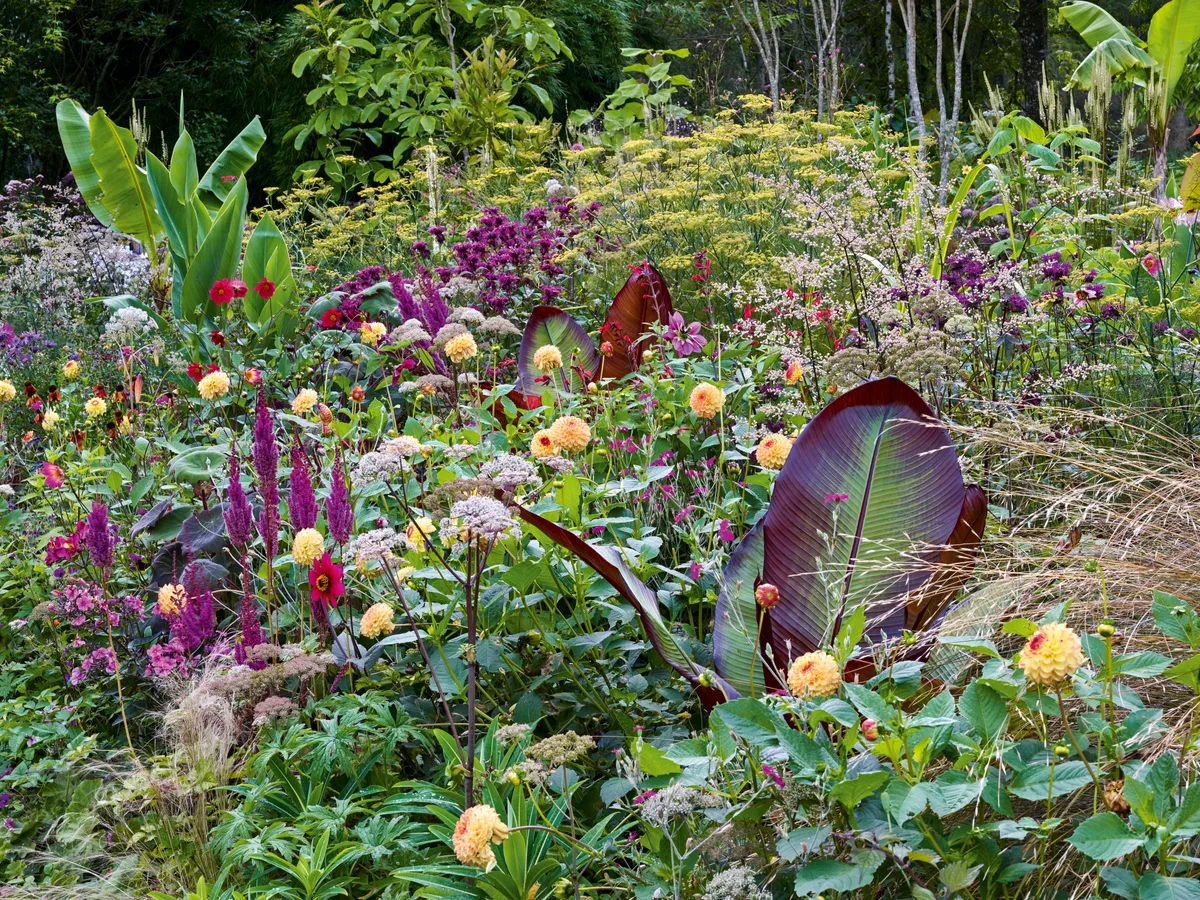 Hunting Brook Gardens Hunting Brook Gardens