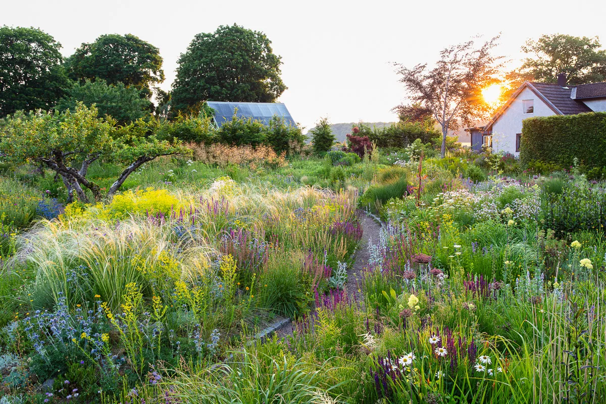 Claire Takacs (#447326) Finalist in the Beautiful Gardens Category and shot for Gardens Illustrated for the June 2023 issue - Klinta, Peter Korn's Home Garden - © Claire Takacs