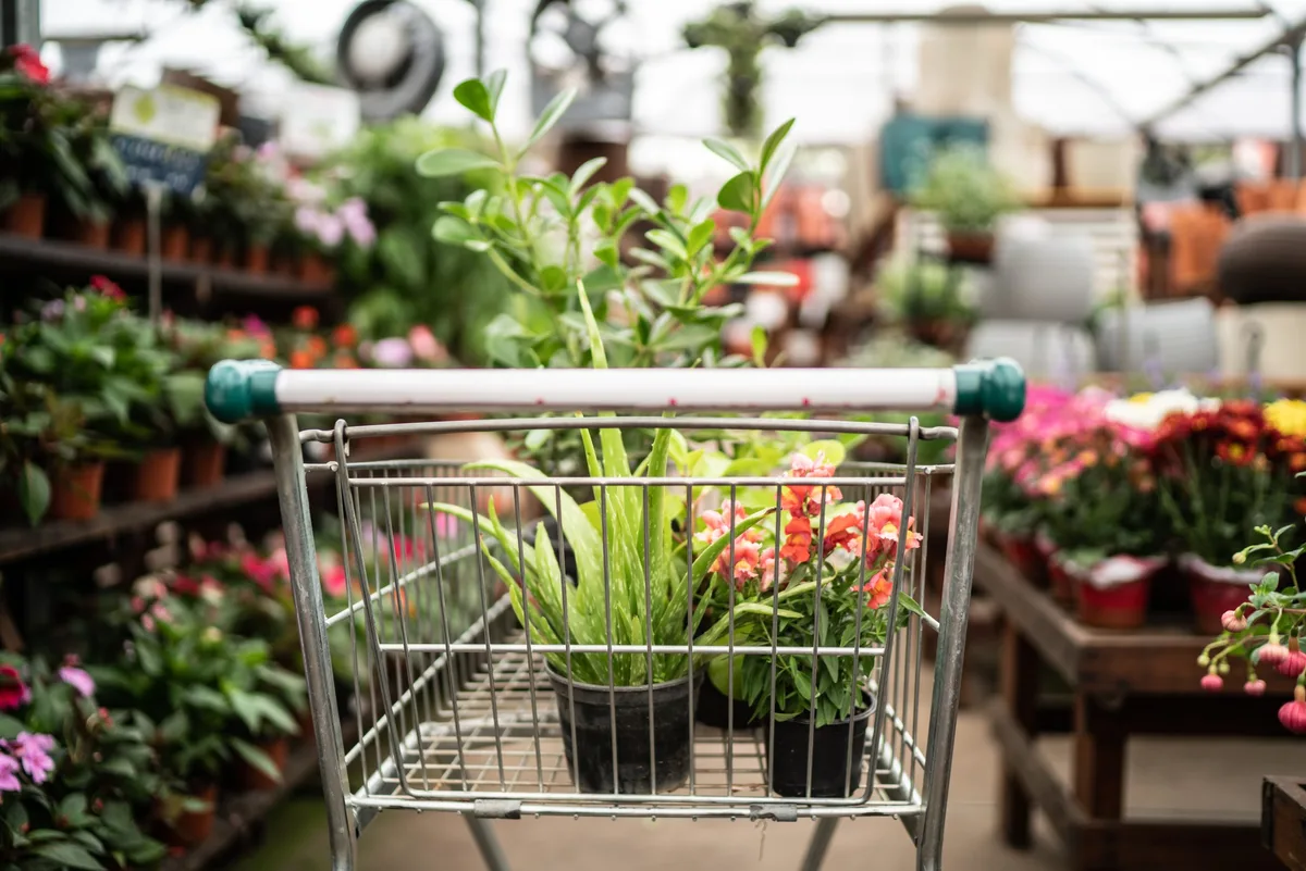 Shopping cart with plants at a garden center © Getty / FG Trade