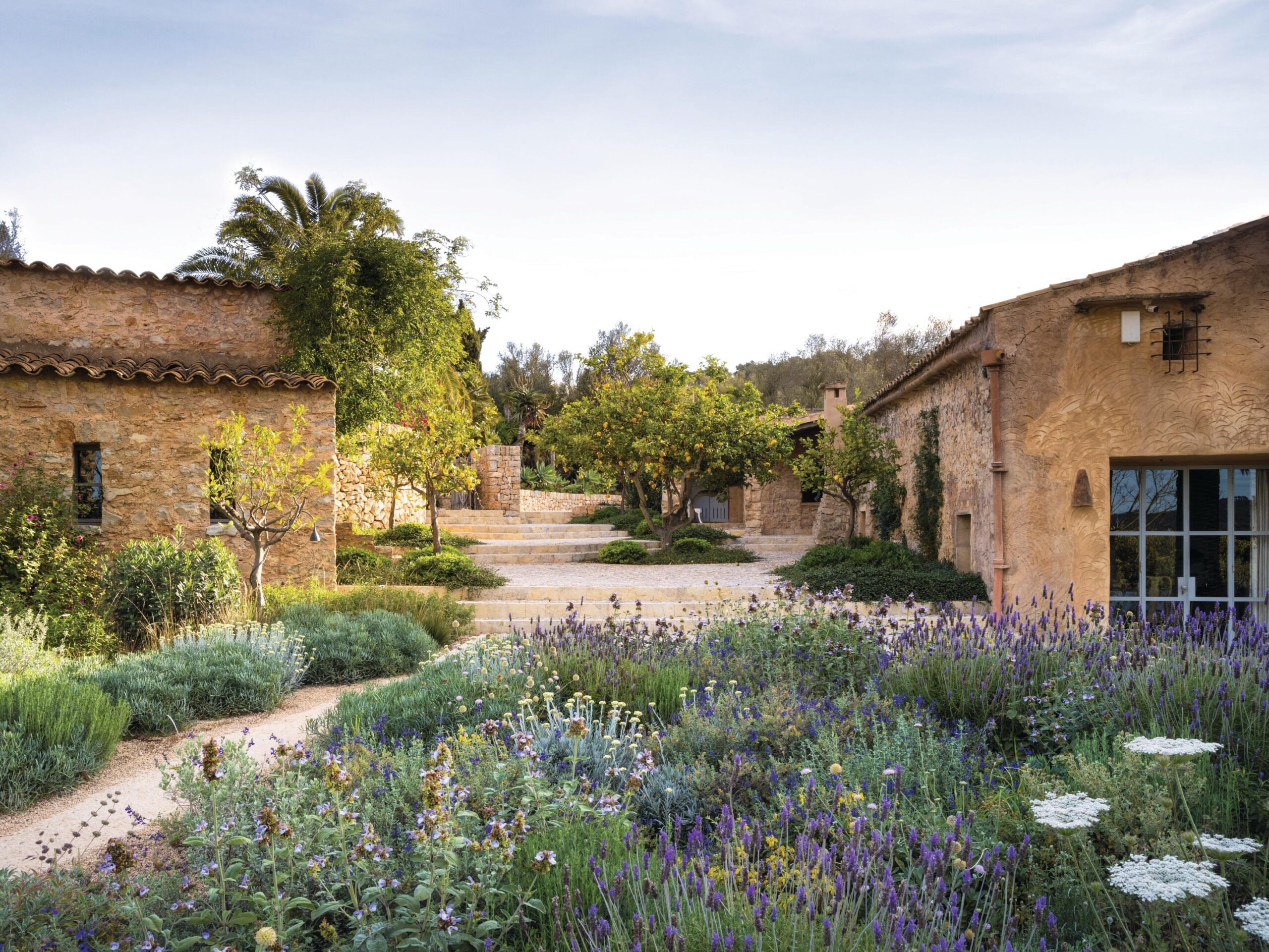 Mediterranean garden and buildings in summer