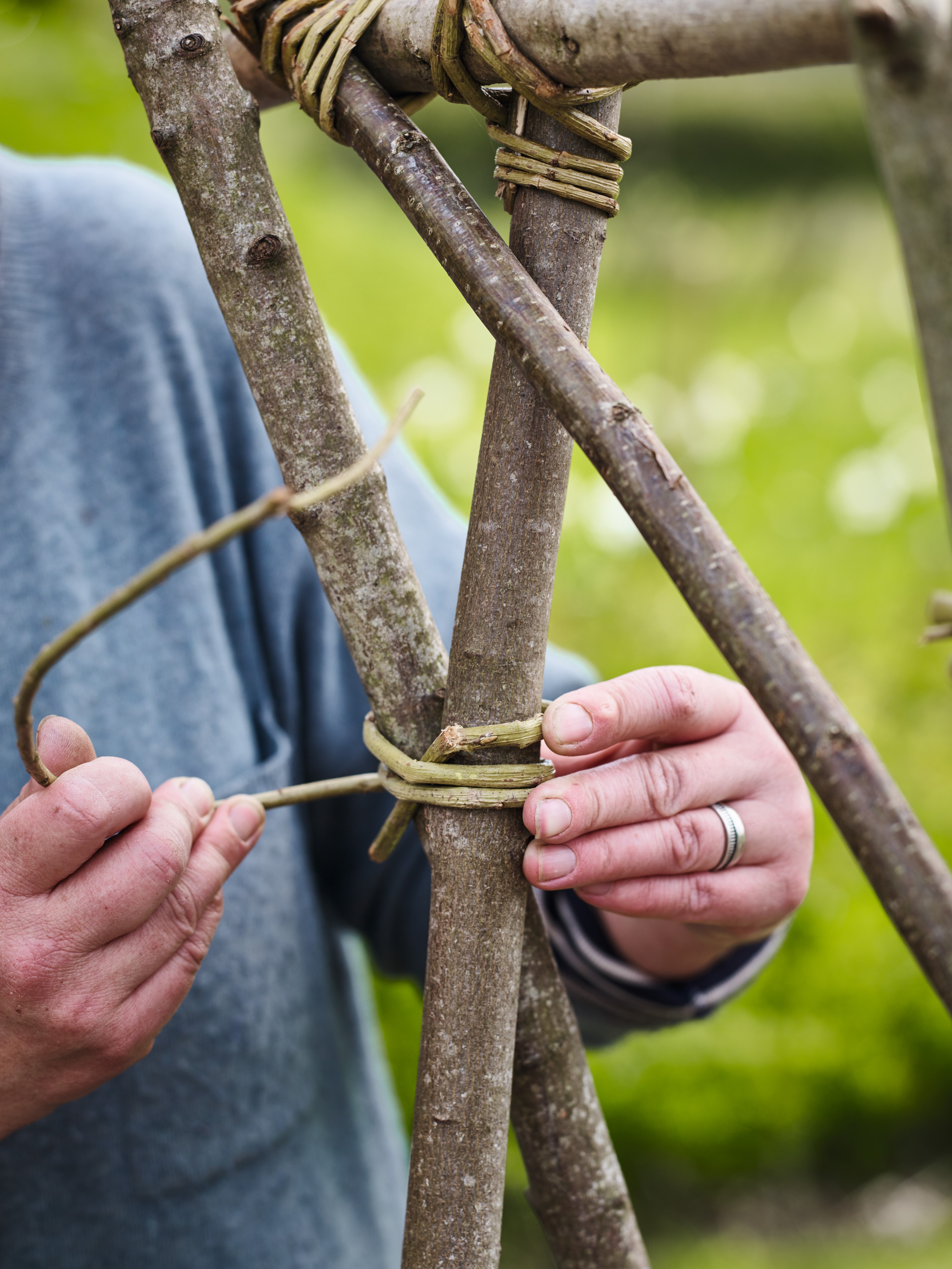 Bean pole support step 1