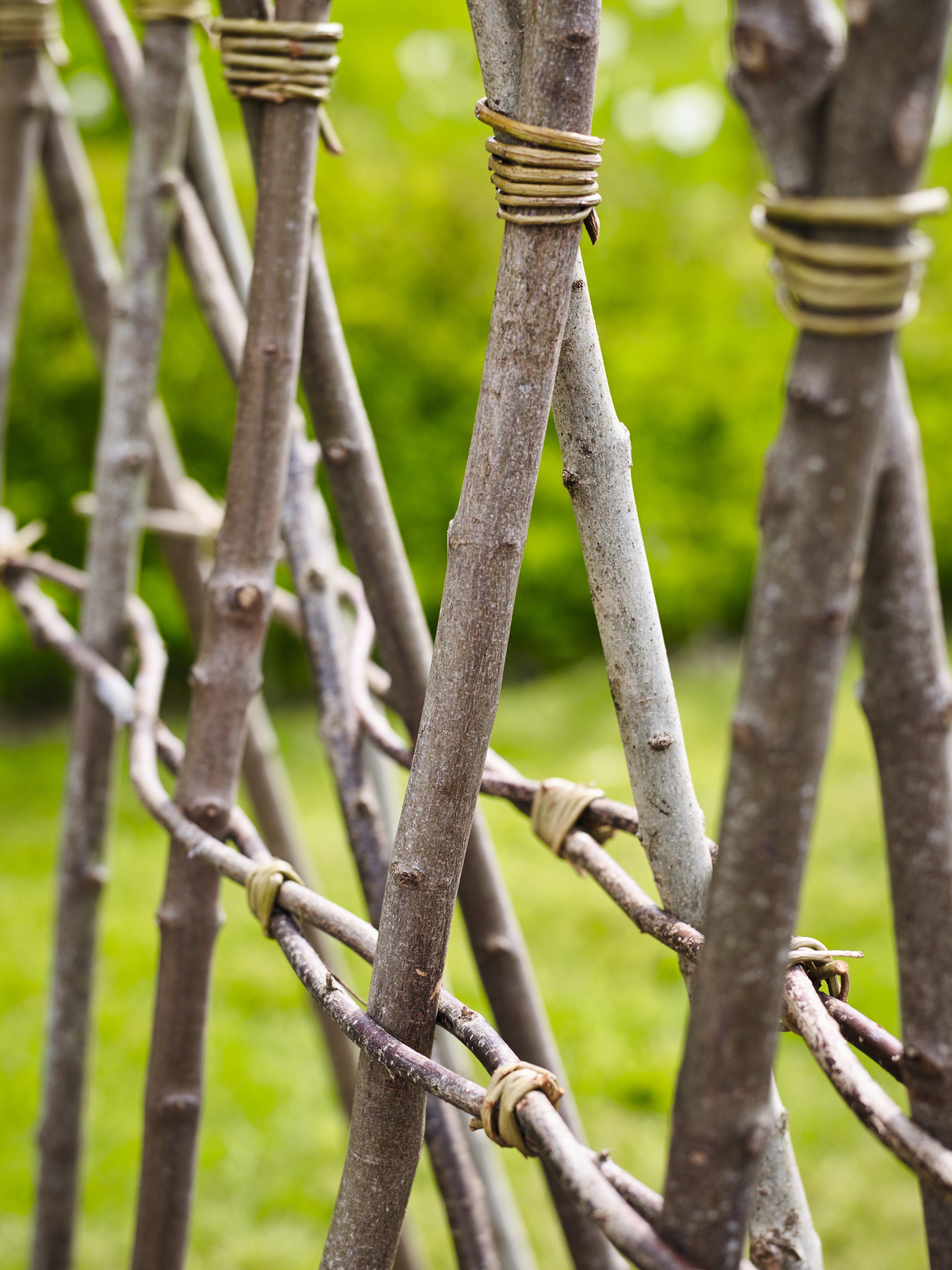 Plant support