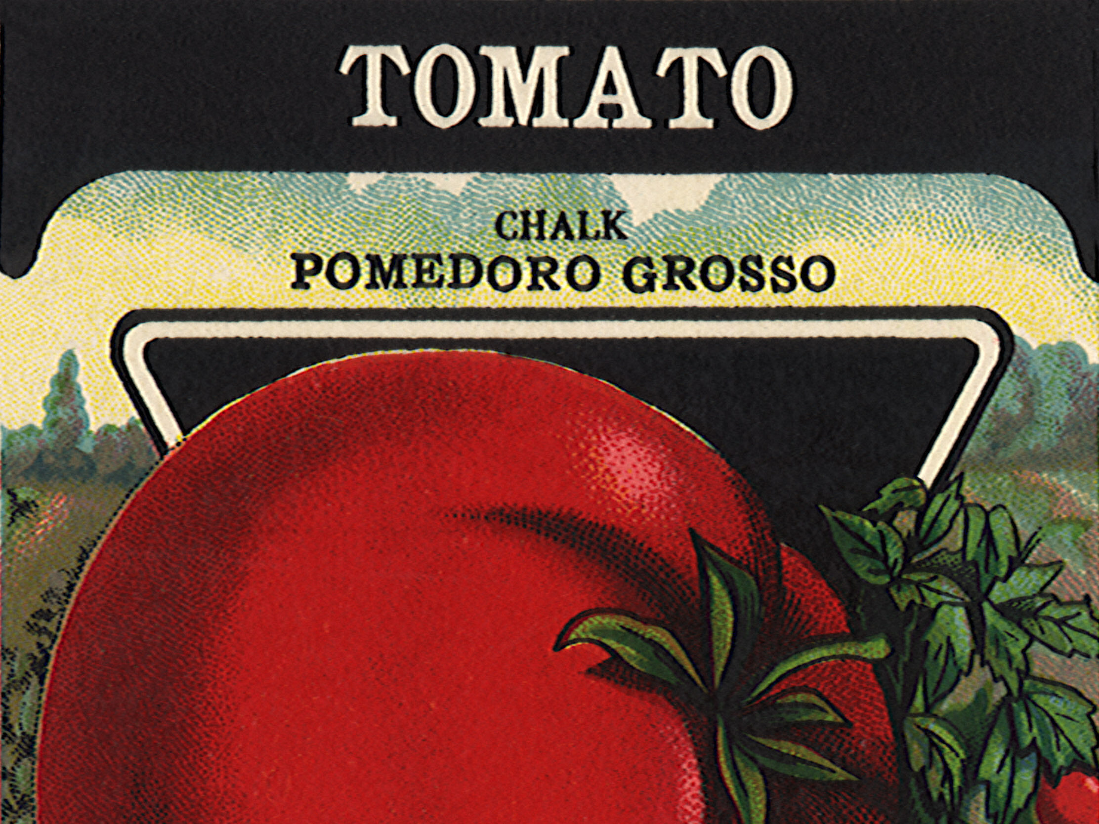 Tomato seed packet