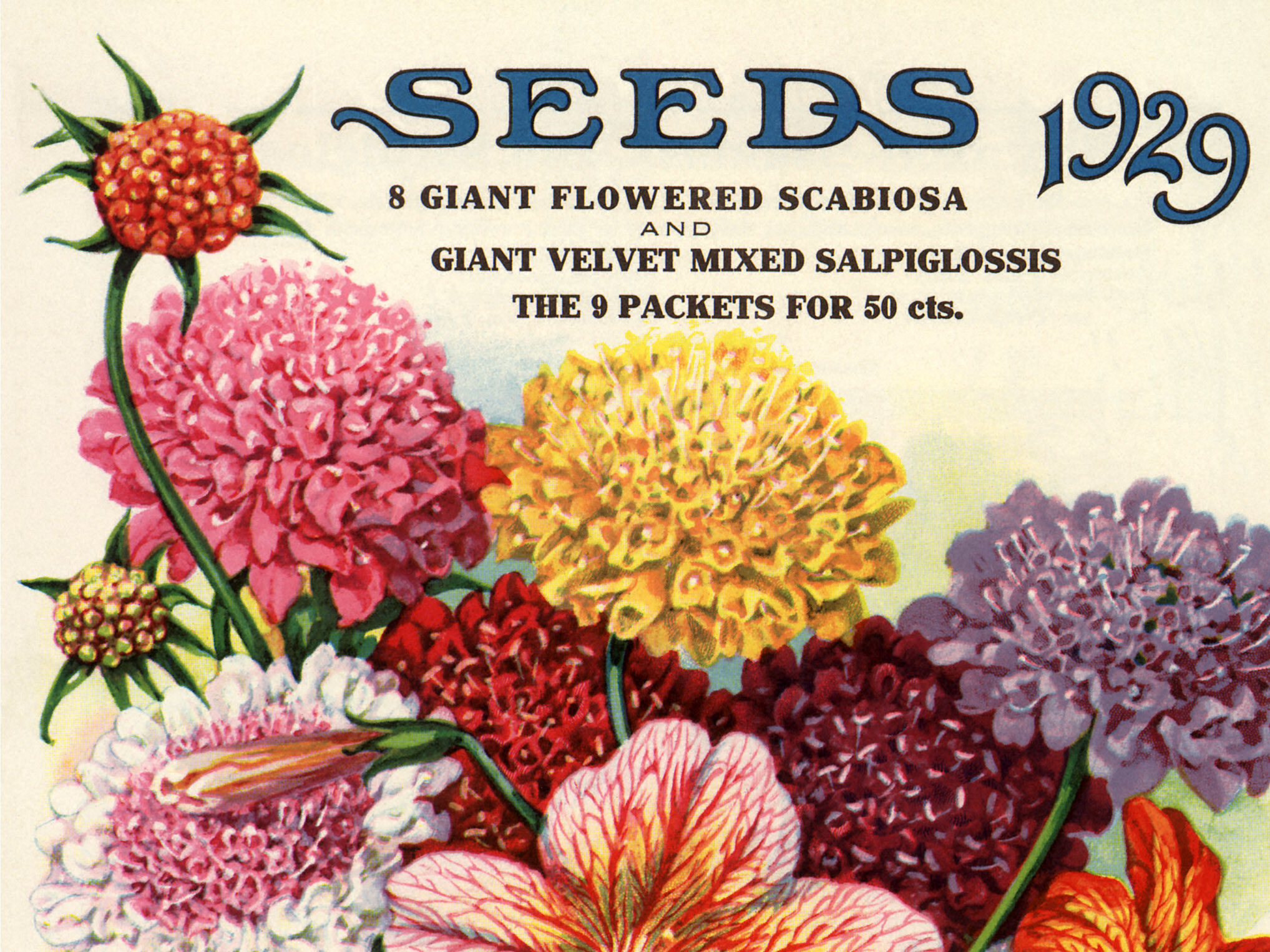 Variety of flowers seed packet
