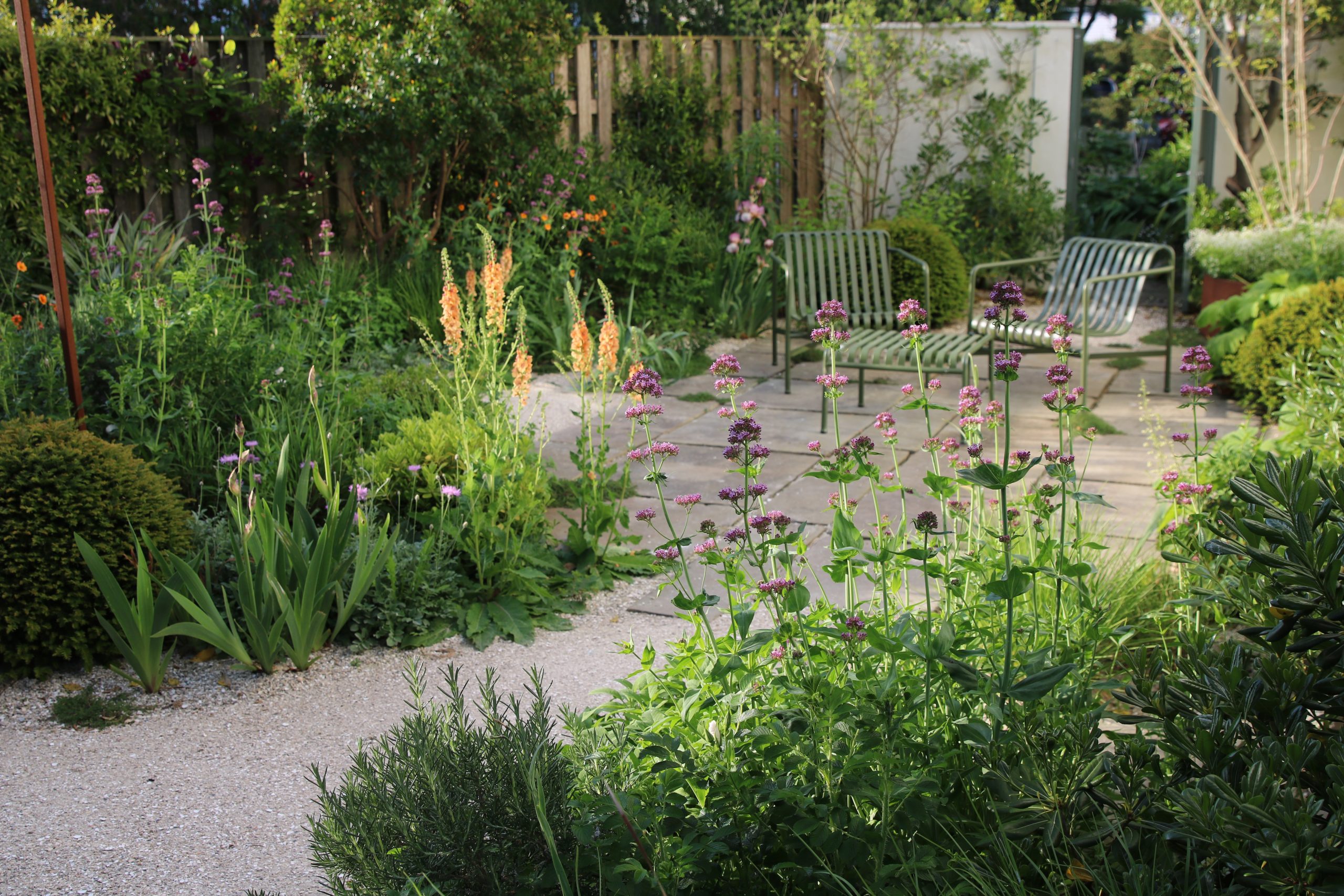 Garden by Nicholas Morton.