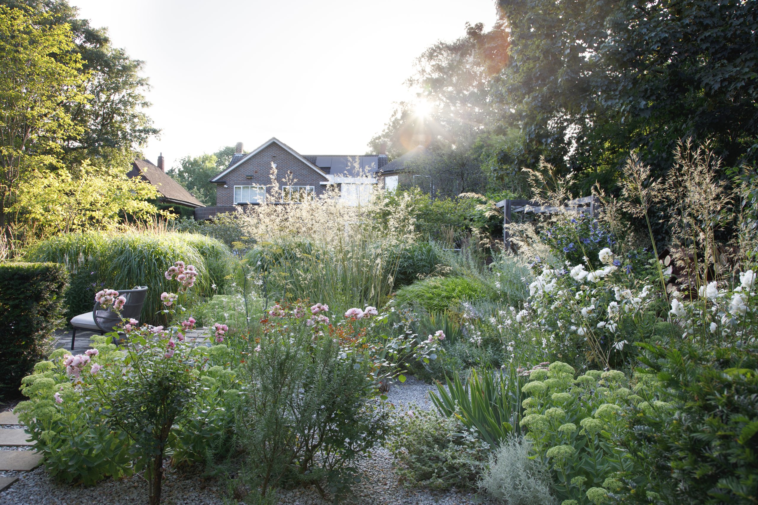 Garden by Barbara Samitier MSGD of Moss Studio.