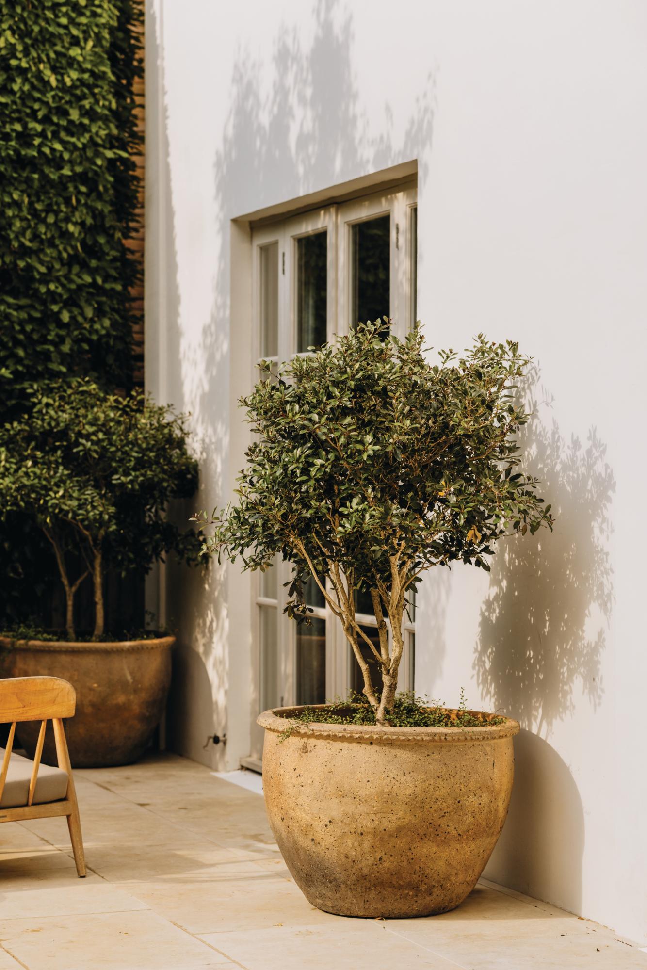 Garden designed by Alexandra Noble in west London with Sauna
