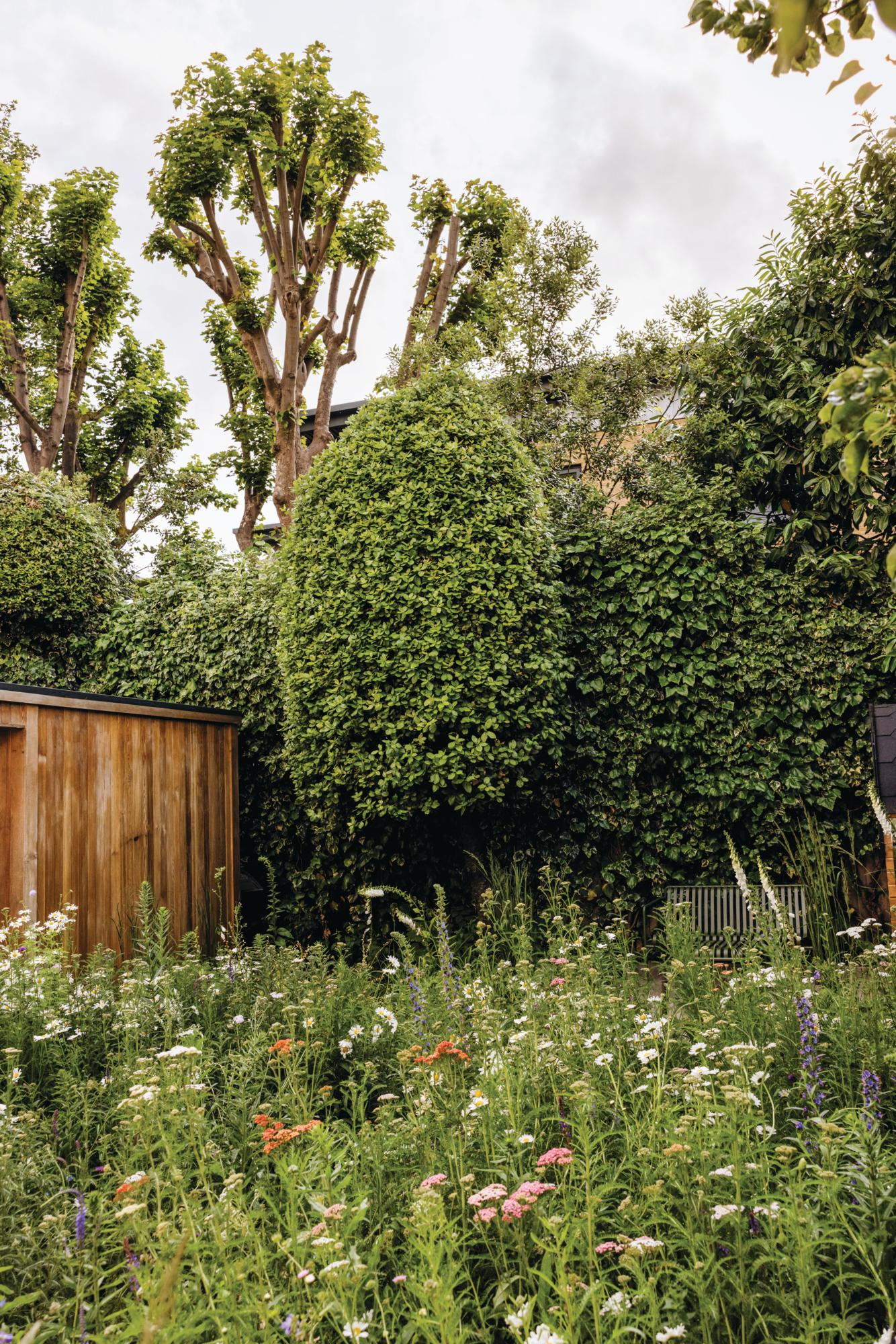 Garden designed by Alexandra Noble in west London with Sauna