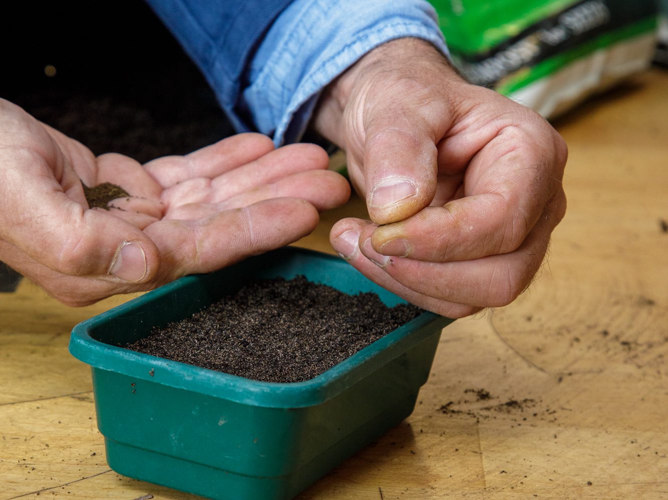 Troy Scott Smith sowing seeds