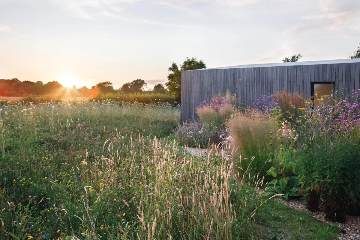 Designer Kristina Clode The Weald Meadow garden and house