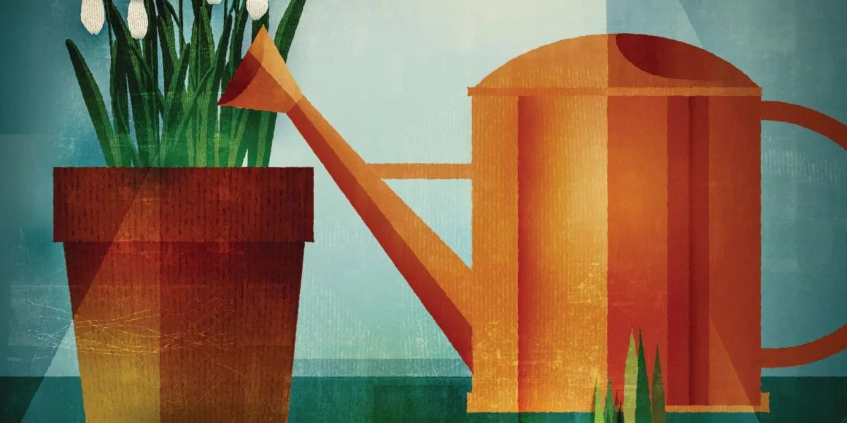 Nigel Slater December column 2025 Illustration of snowdrops and watering can