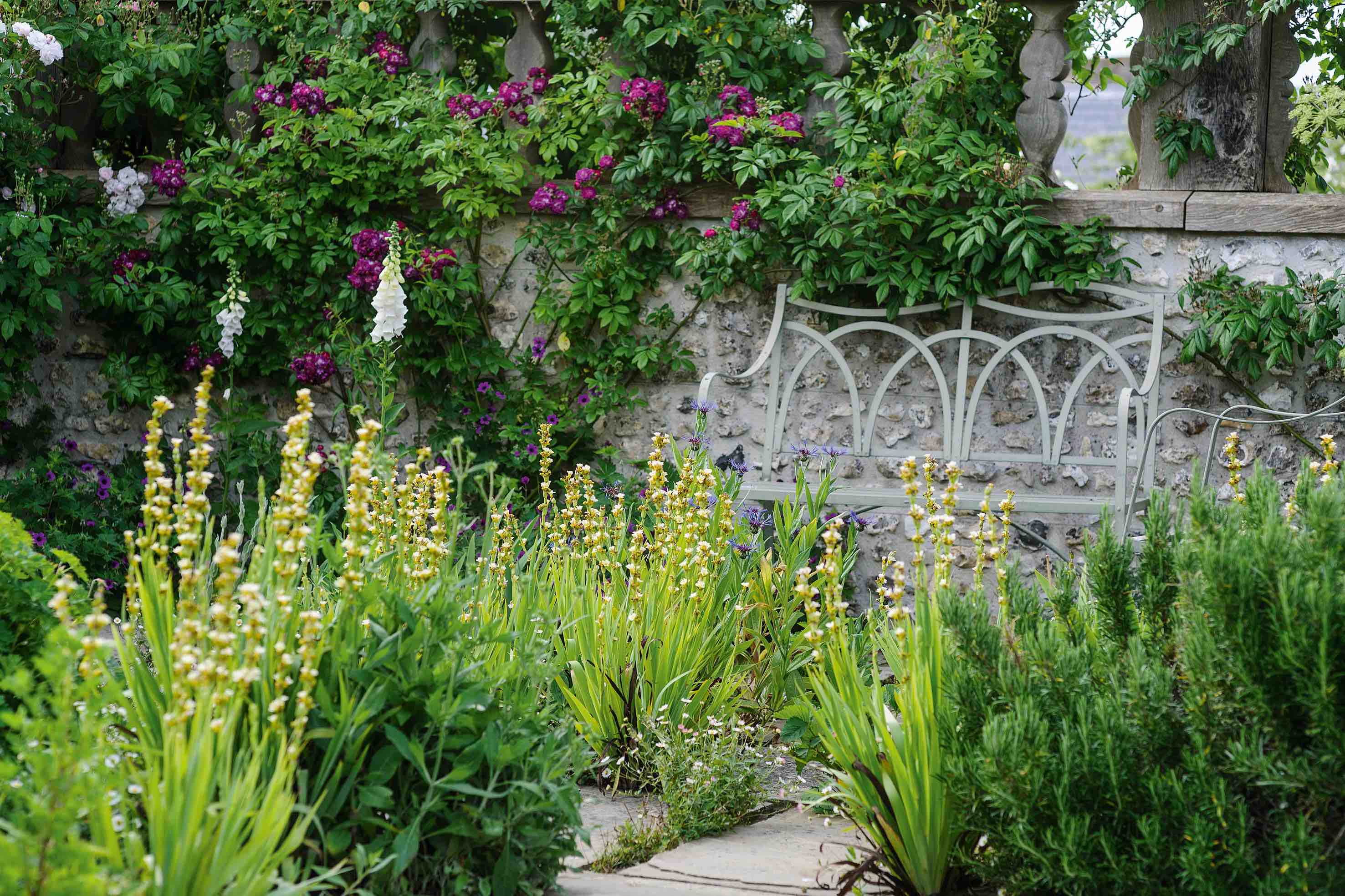 Throughout the garden, carefully located seating areas, their furniture almost swallowed up with froth of Sisyrinchium striatum, tempt one to linger a while and enjoy at close hand the immersive experience of being engulfed in the heady explosion of the summer garden in all its glory.
