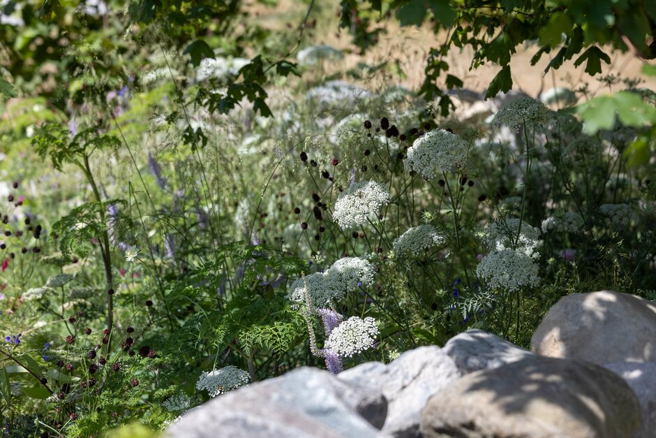 Blue Diamond Garden Centres: Where Grief Grows Quiet. Designed by Sophie Leo. 