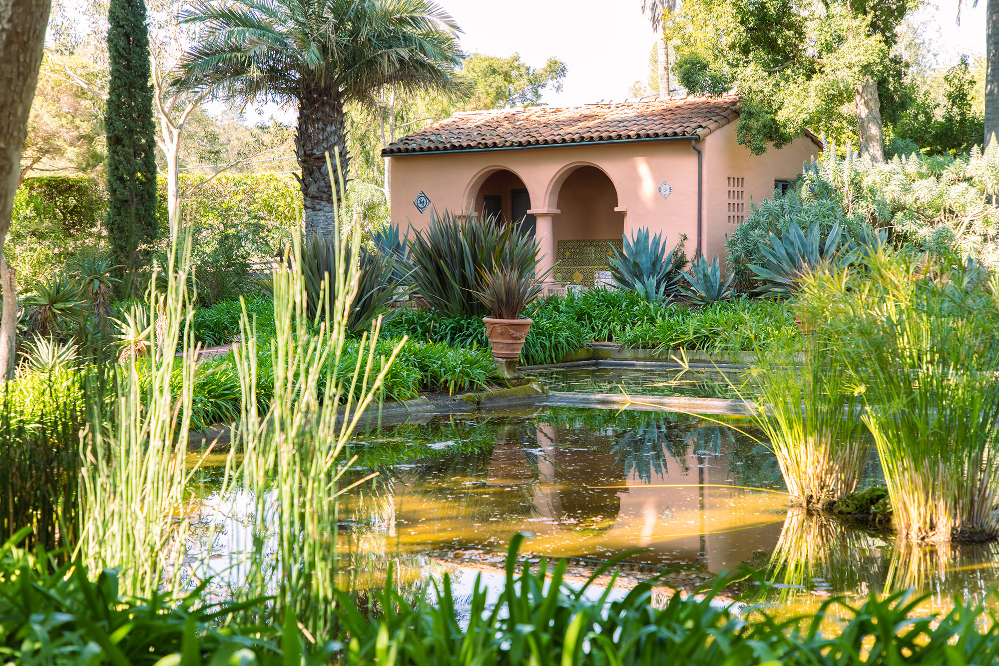 Lotusland Water Garden