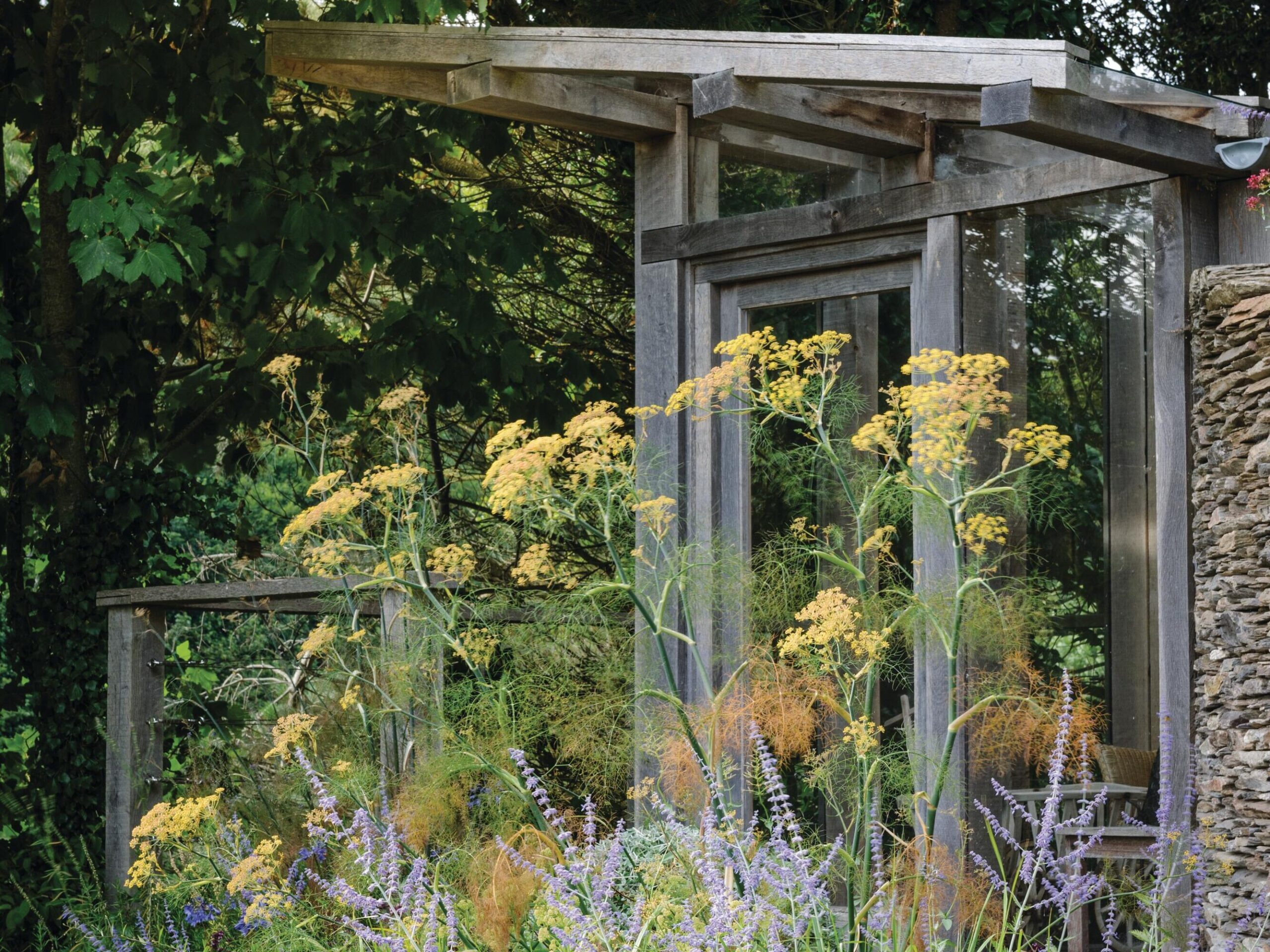 An old pump house has been carefully adapted into a hide-away reading room. The green oak and glass construction sits comfortably in the garden landscape with Foeniculum vulgare ‘Purpureum’ and Perovskia ‘Blue Spire’ mingling with Agapanthus Headbourne hybrids in the foreground.