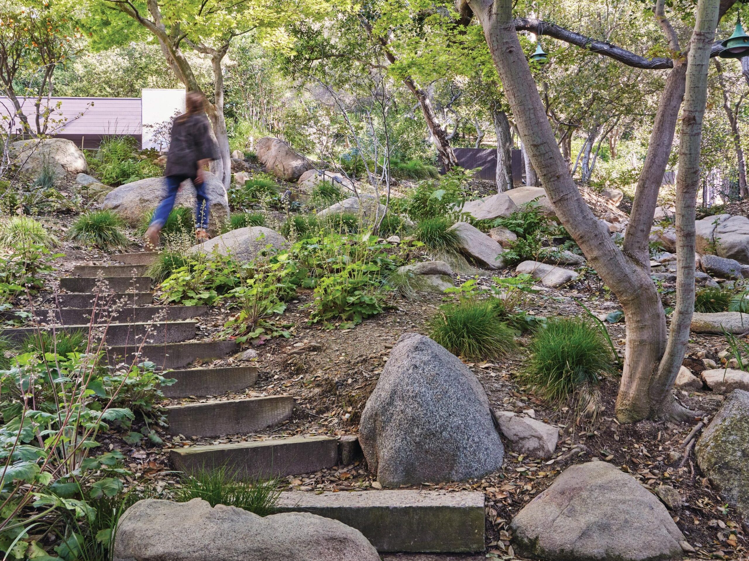 Garden steps and rock garden