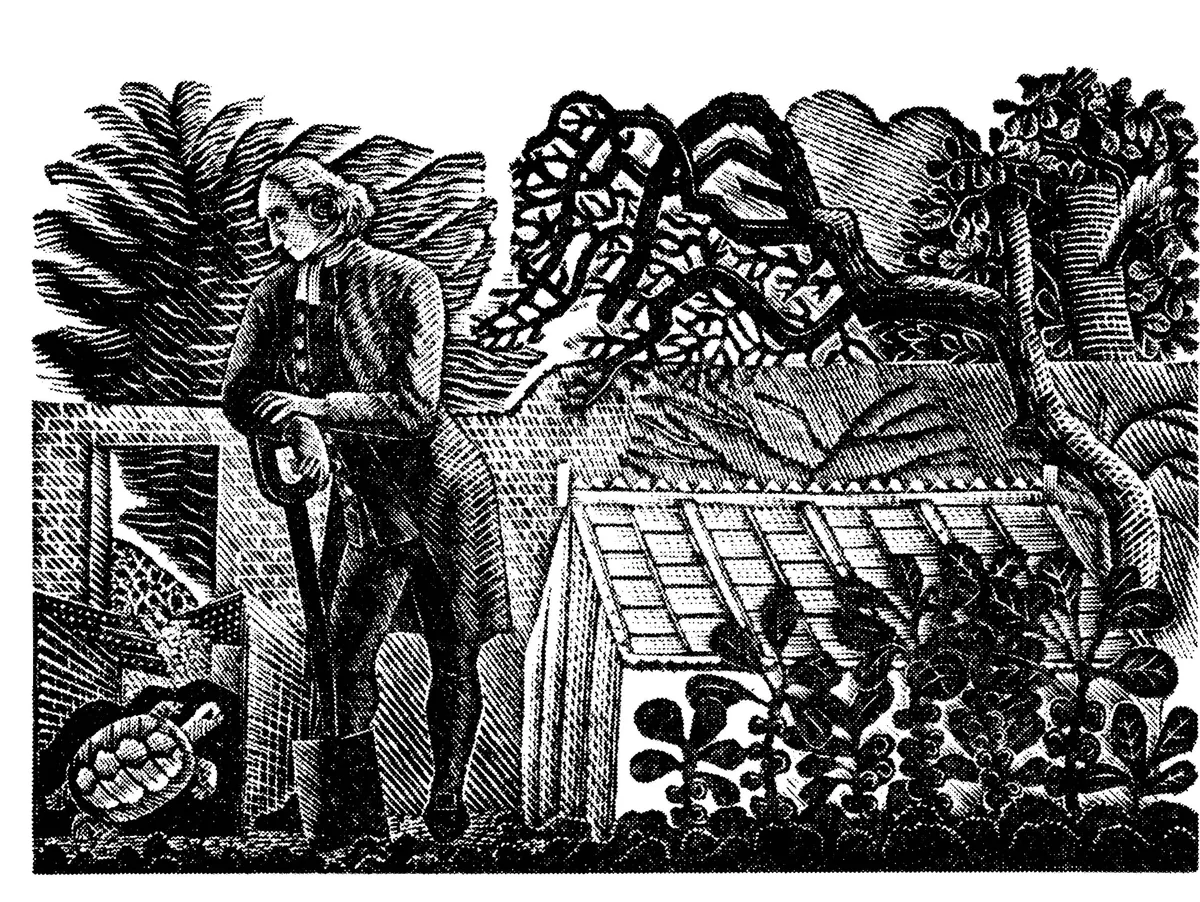 Eric Ravilious’s illustration of Gilbert White in his garden with his tortoise Timothy for the 1938 edition of The Writings of Gilbert White. Eric Ravilious’s illustration of Gilbert White in his garden with his tortoise Timothy for the 1938 edition of The Writings of Gilbert White.