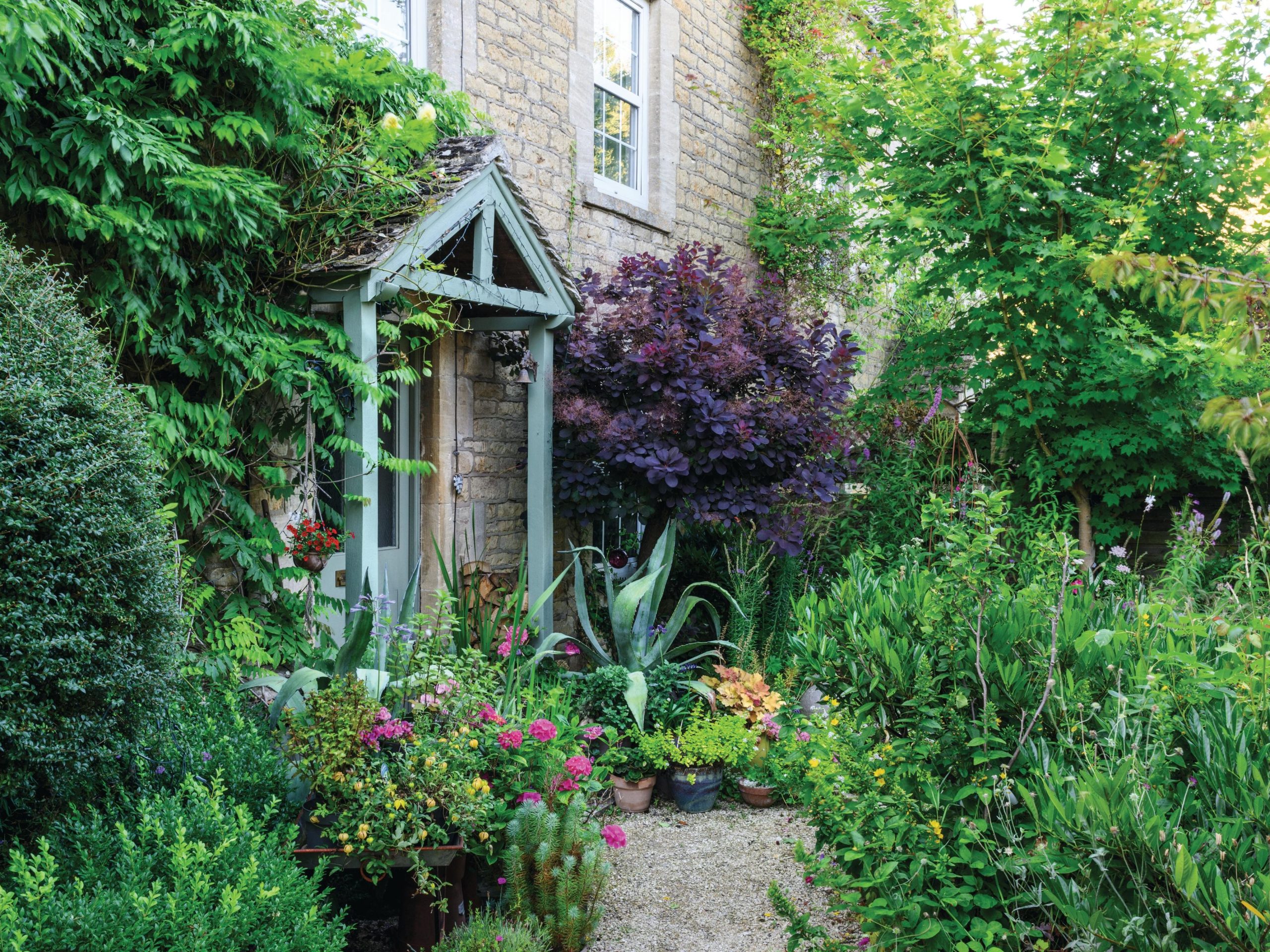 House and garden