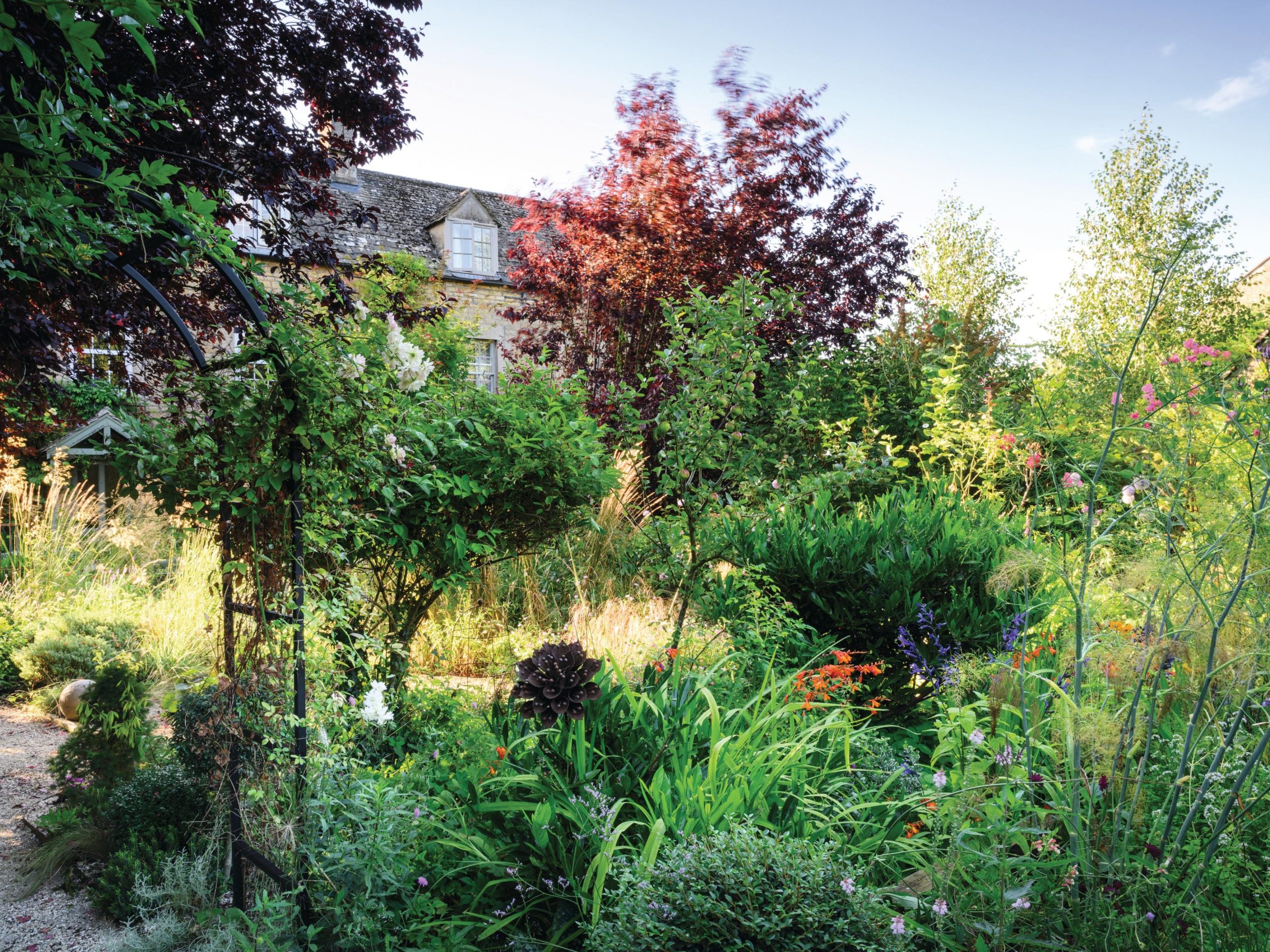 House and garden