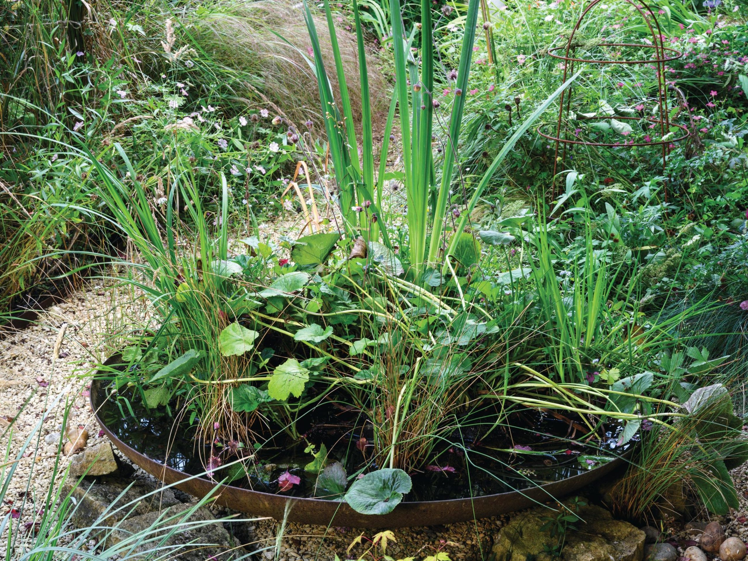 Garden plants