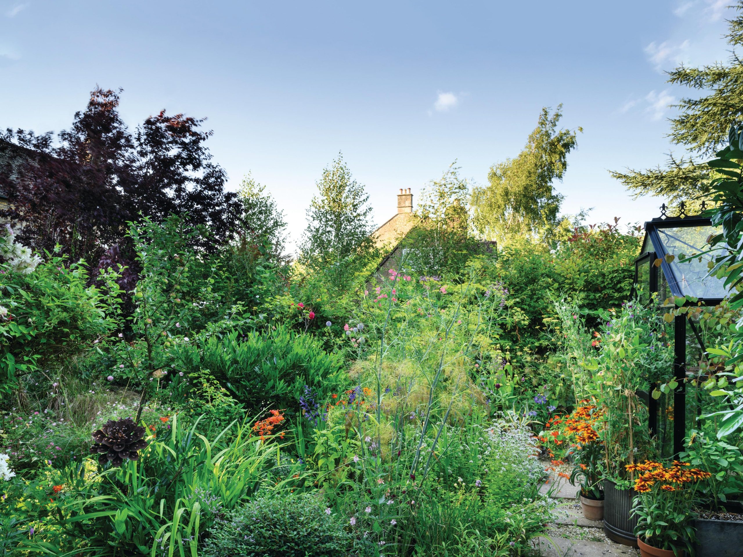 House and garden