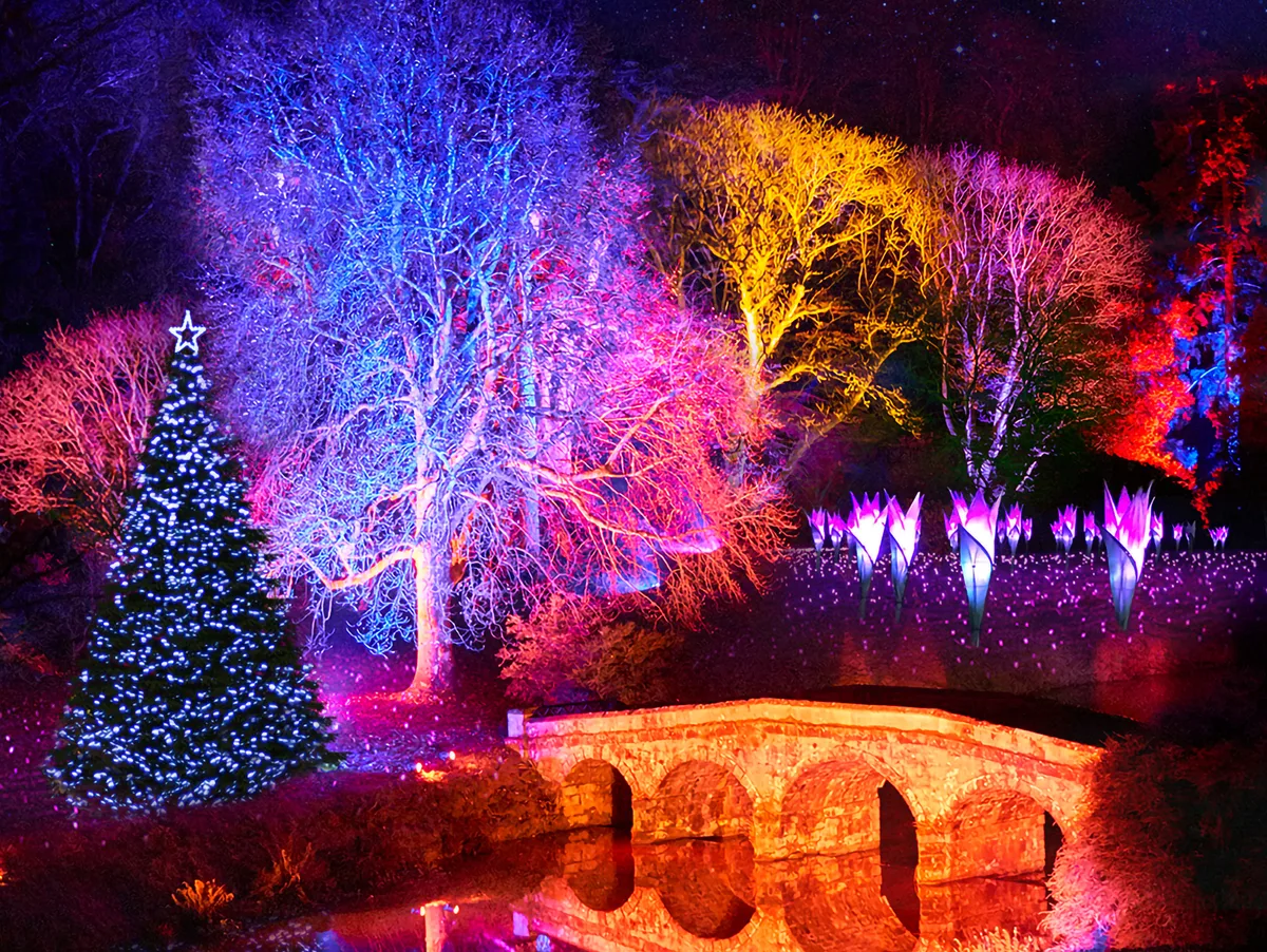 Christmas at Stourhead 2020_Landscape Stourhead Christmas light show