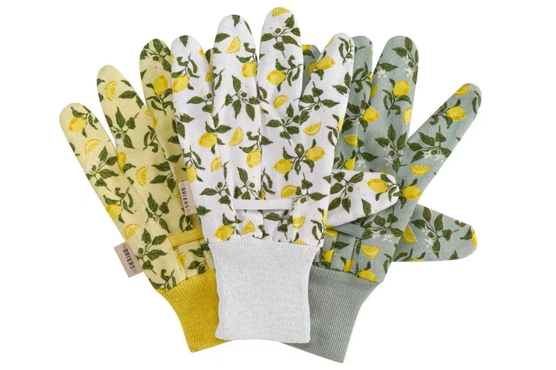 Sicilian lemon cotton gloves on a white background