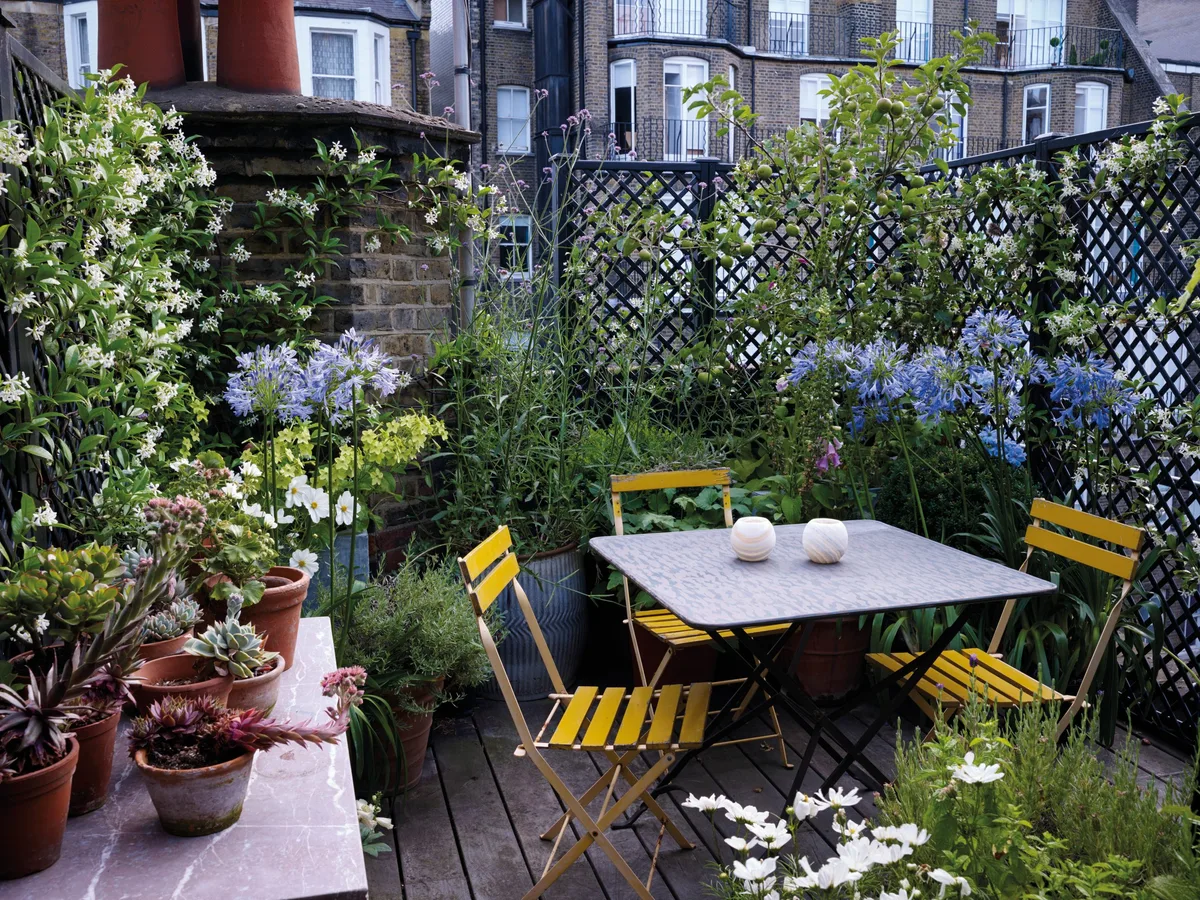 Charlie McCormick's Balcony Garden in London Charlie McCormick's Balcony Garden in London