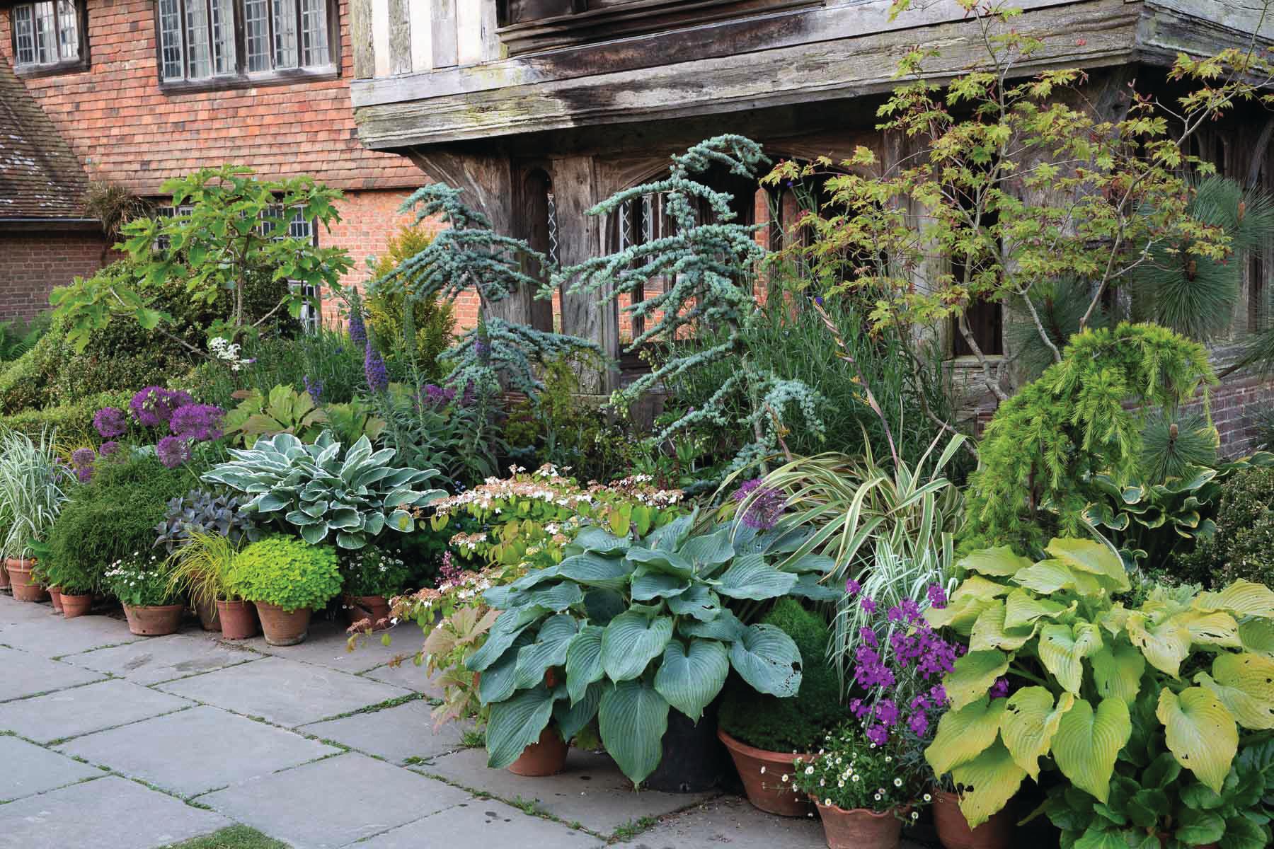 Plant containers