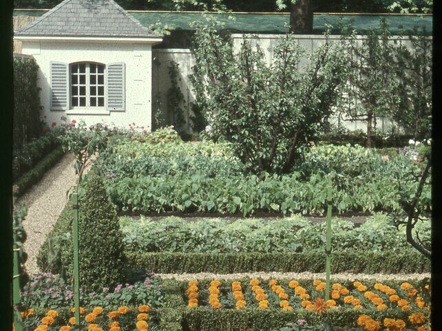 A French Vegetable, fruit and Flower garden, Vilmorin- Andrieux' designed by Russell Page, Chelsea Flower Show 1958.