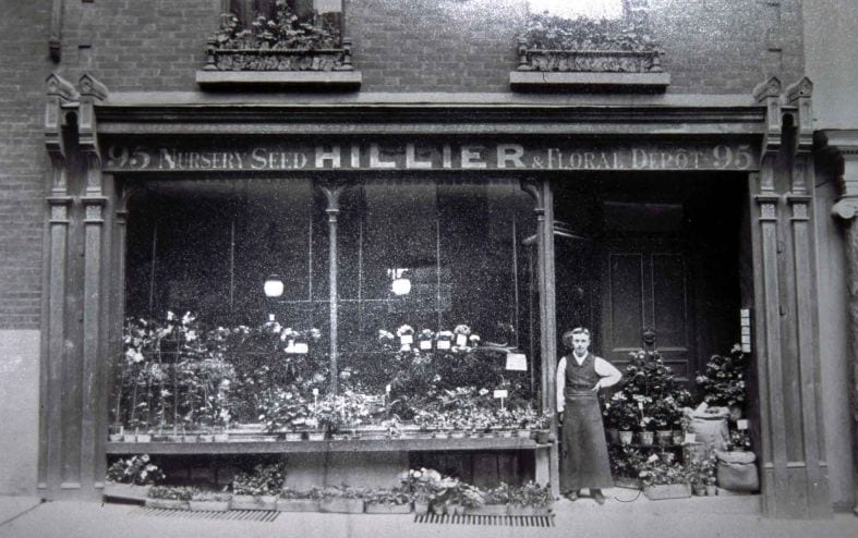 Hillier's Nursery