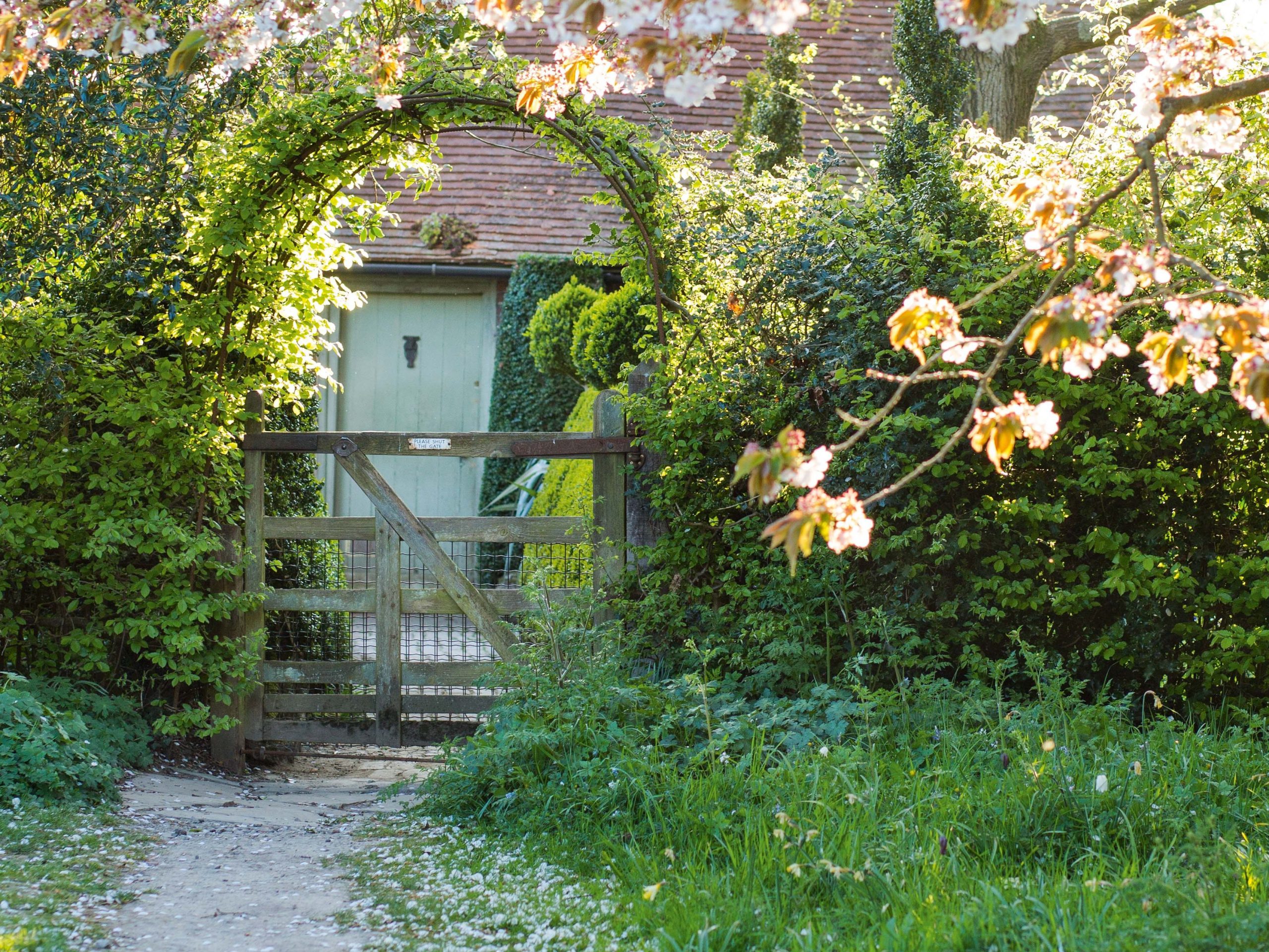 Path and gateway in Charlotte Molesworth's garden
