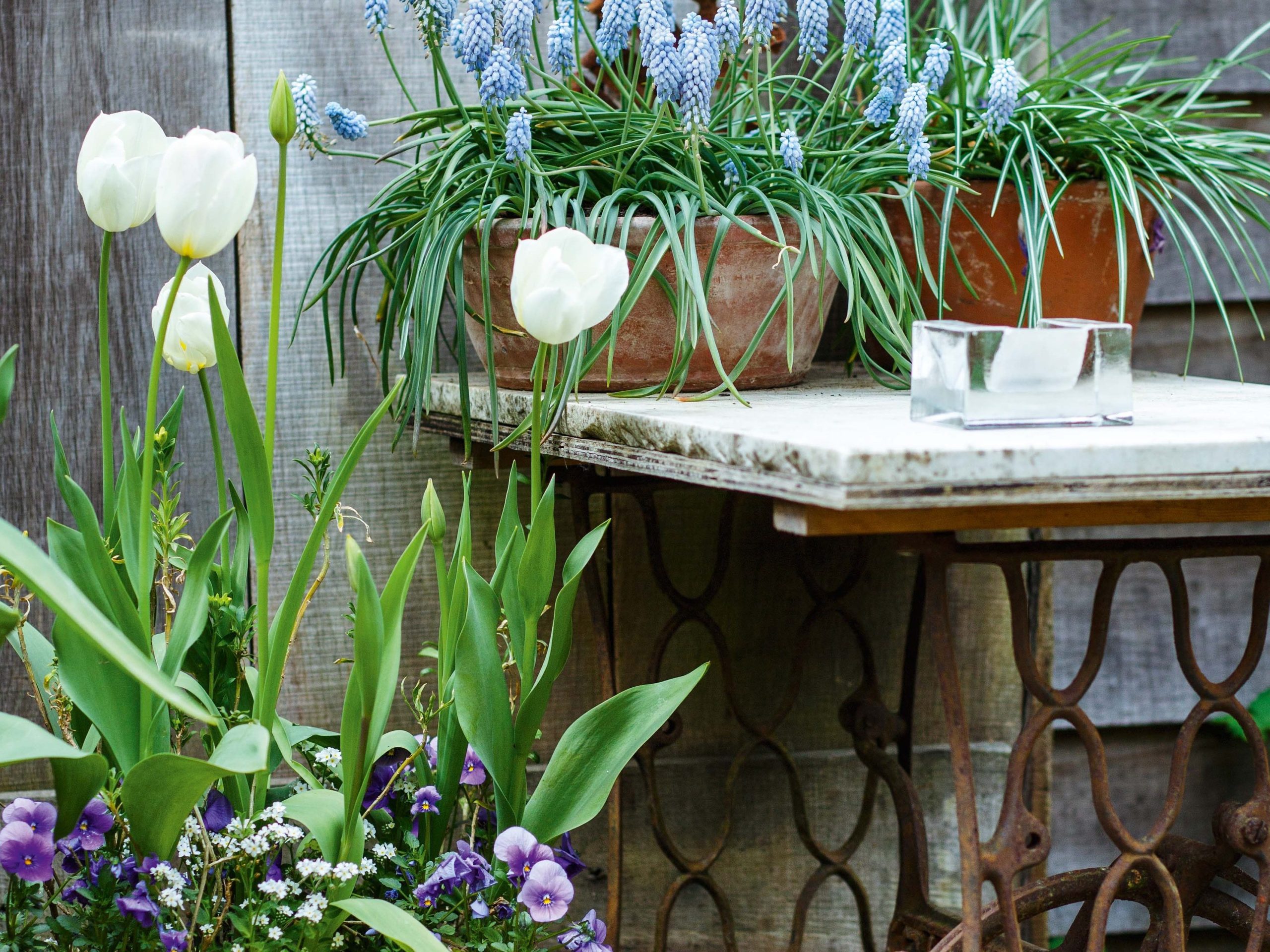 Sewing machine table in Charlotte Molesworth's garden