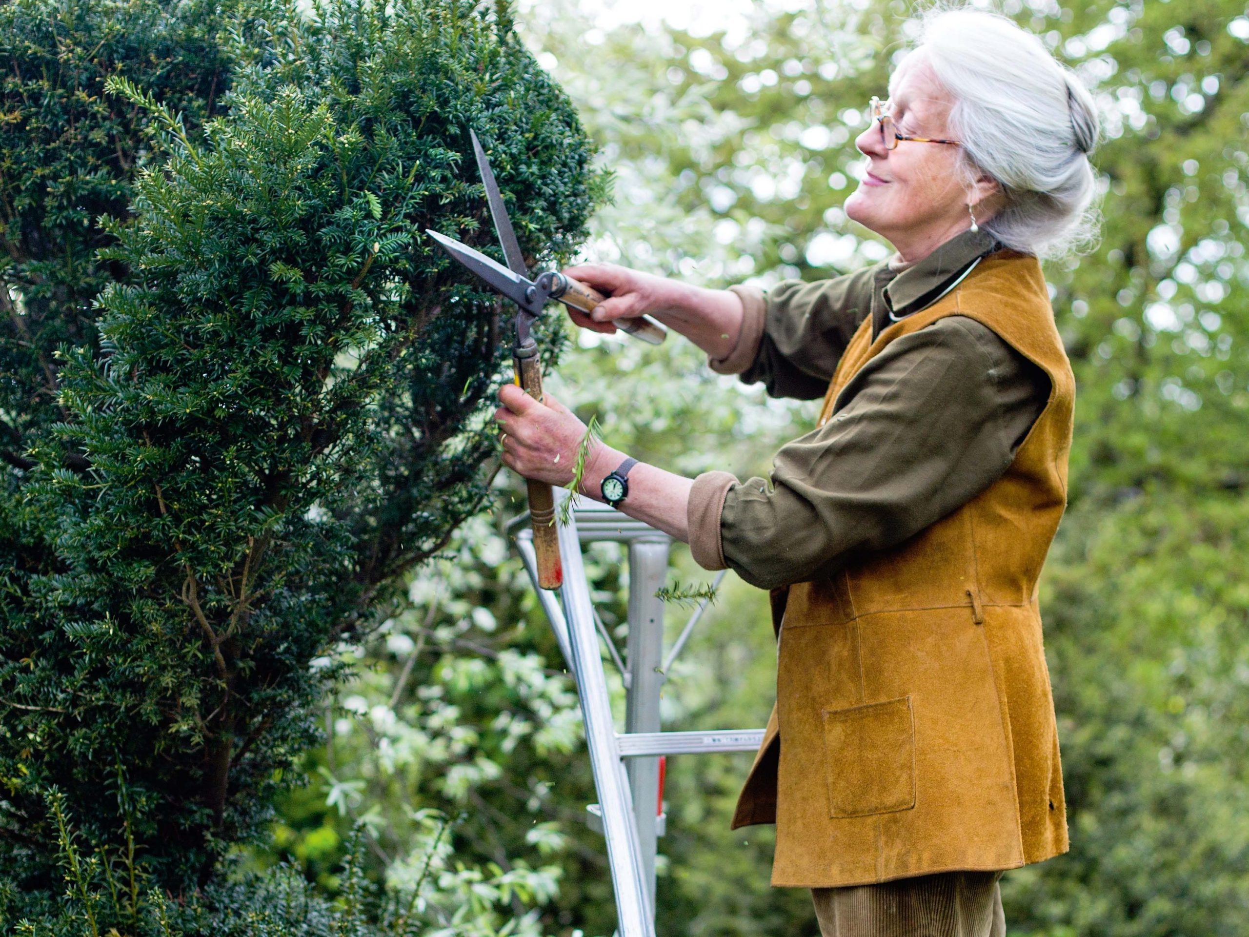 Charlotte Molesworth clipping topiary.