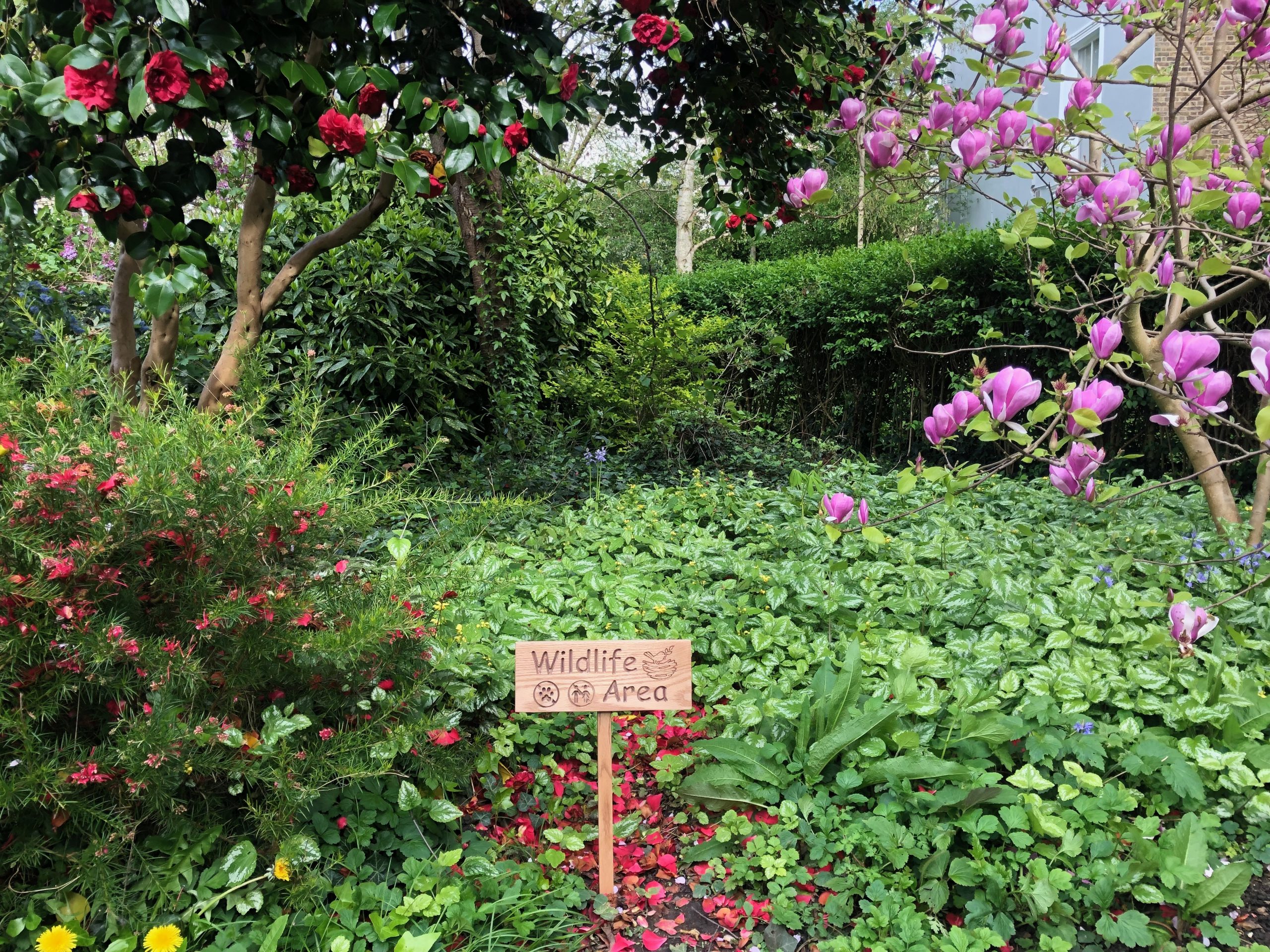 Arundel & Elgin Gardens