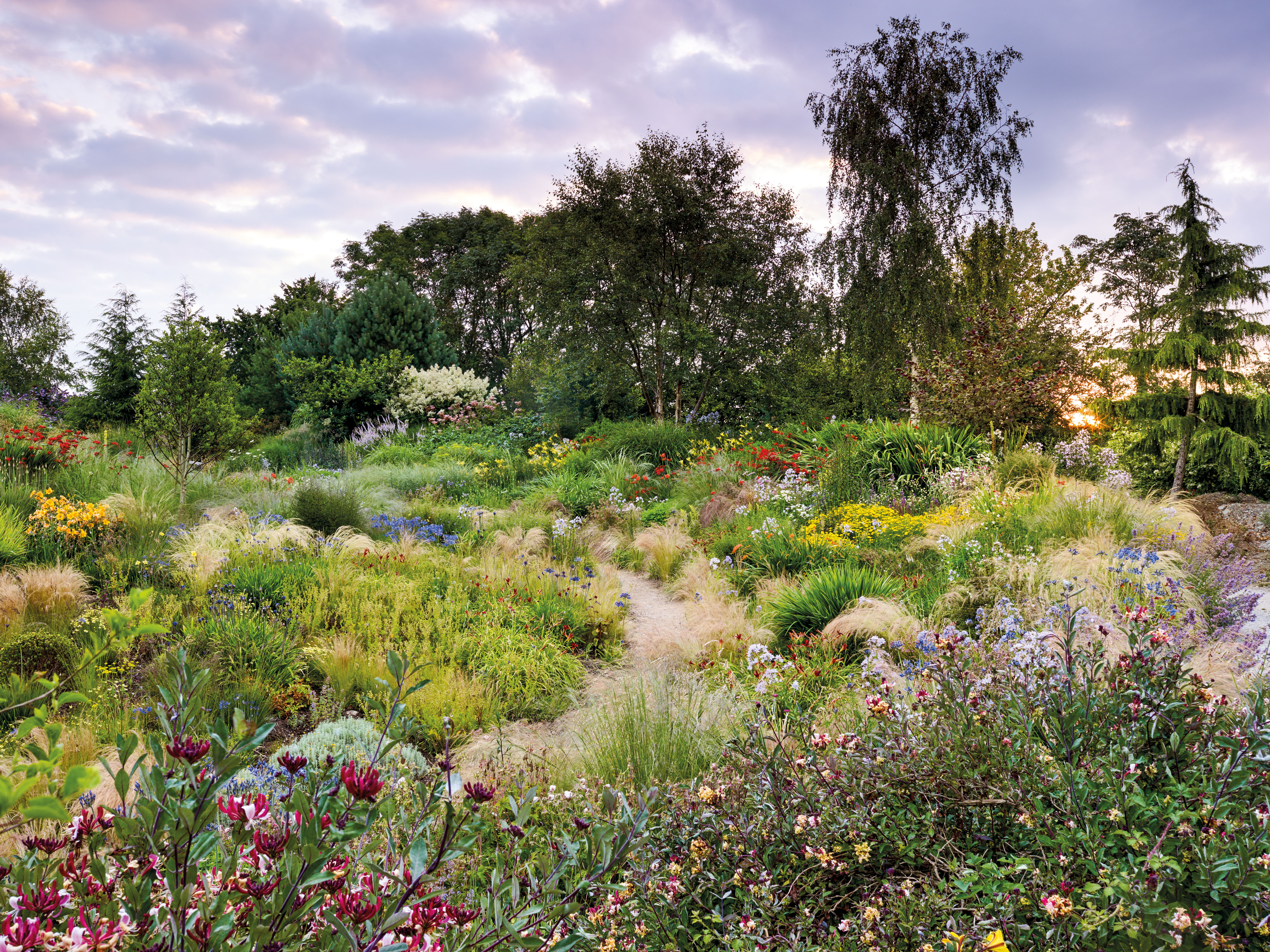 Wildside Nursery Garden