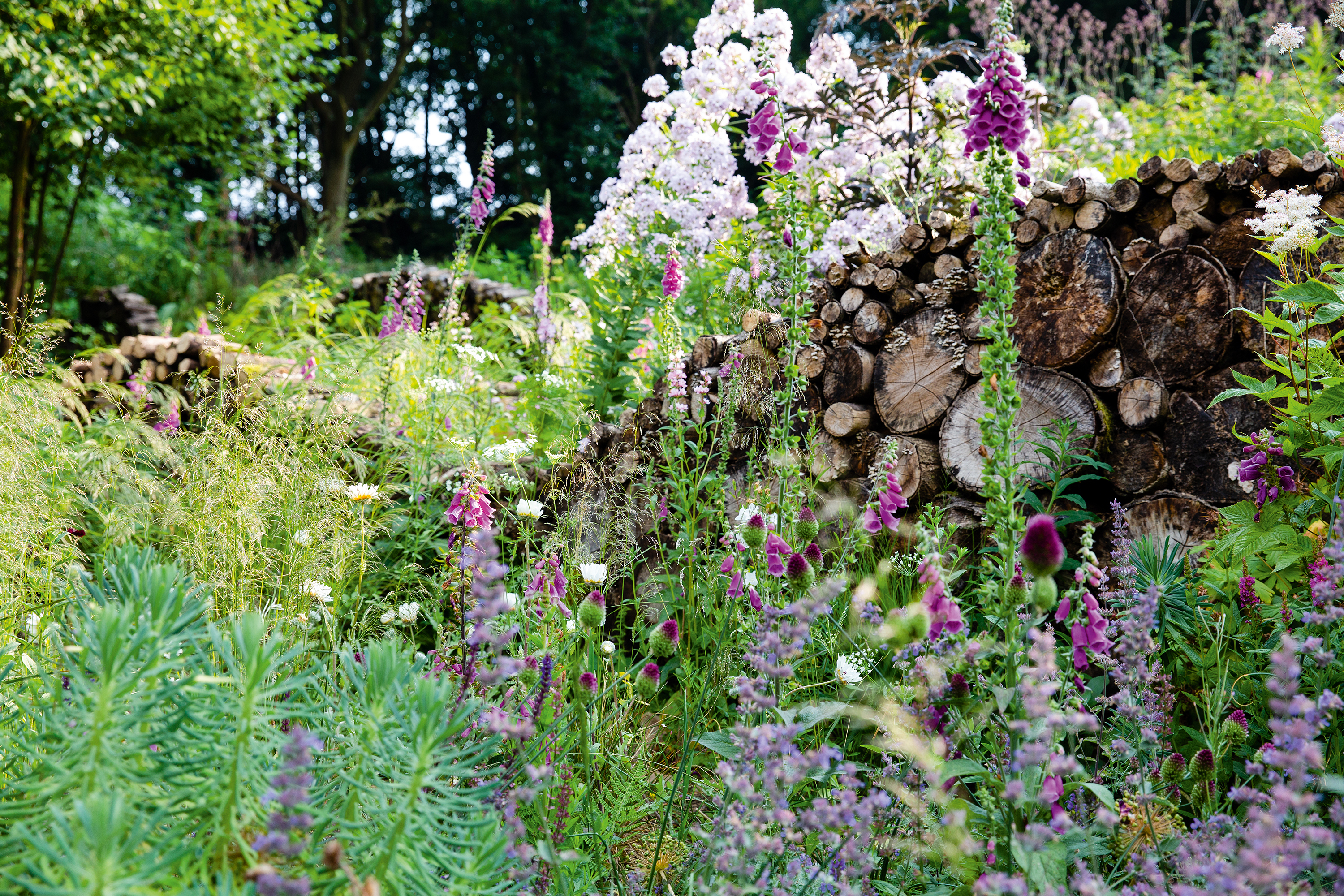Nigel Dunnett’s own garden